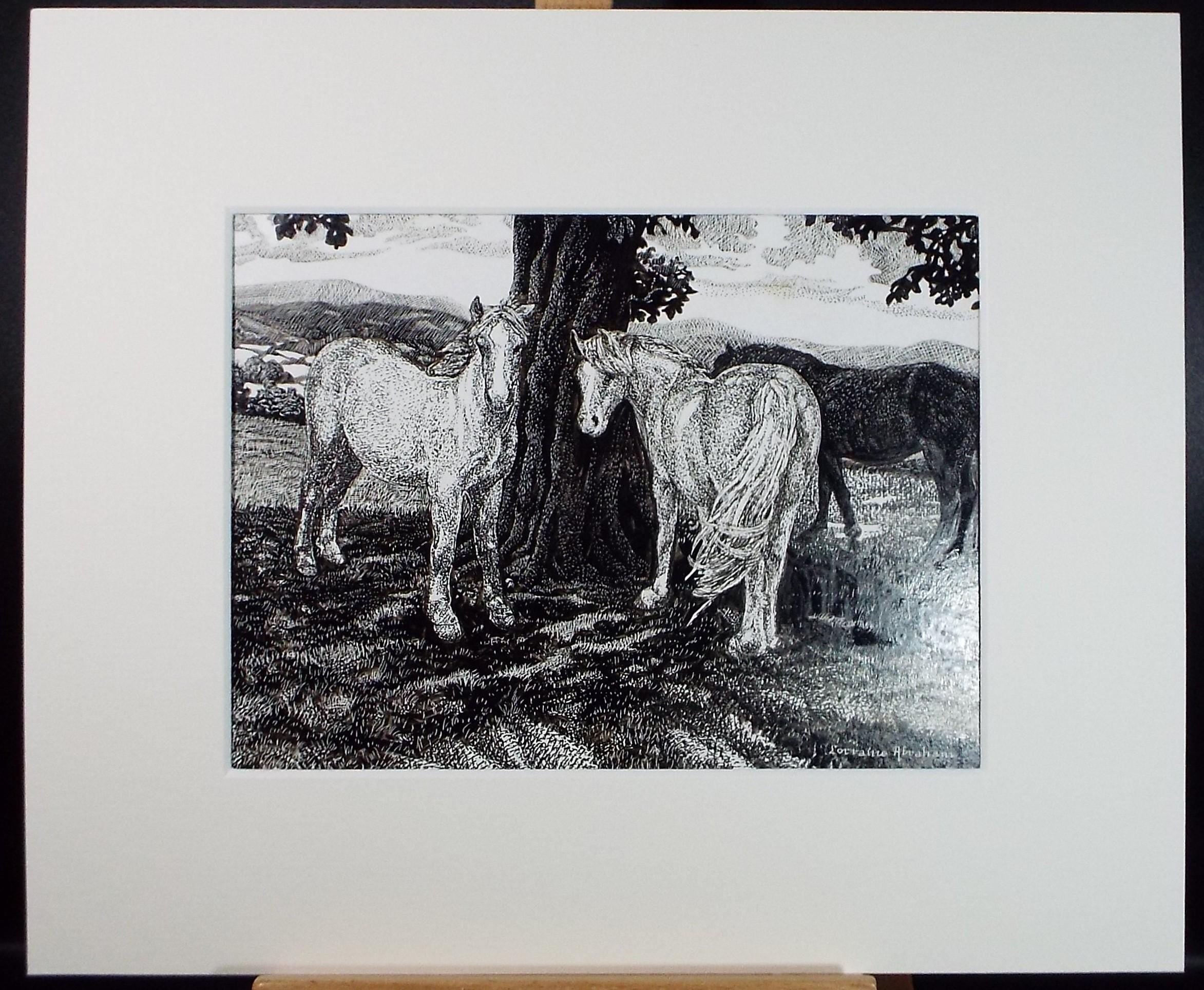 Original Scraperboard & ink drawing, 'Horses beneath the beech', Lorraine Abraham RSMA (1941-2023), Circa 1990's