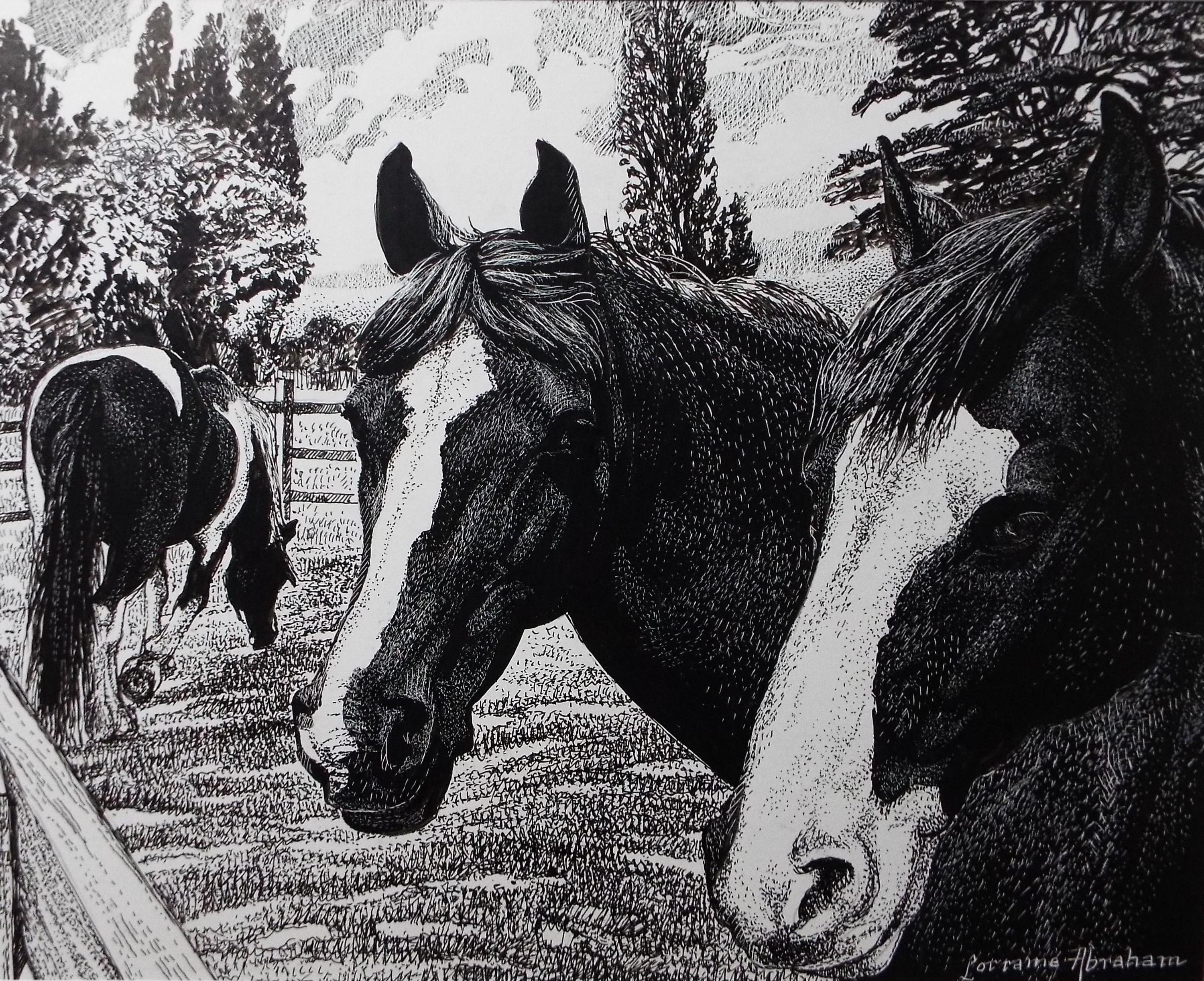 Original Scraperboard & ink drawing, 'Horses in the Paddock', Lorraine Abraham RSMA (1941-2023), Circa 1990's