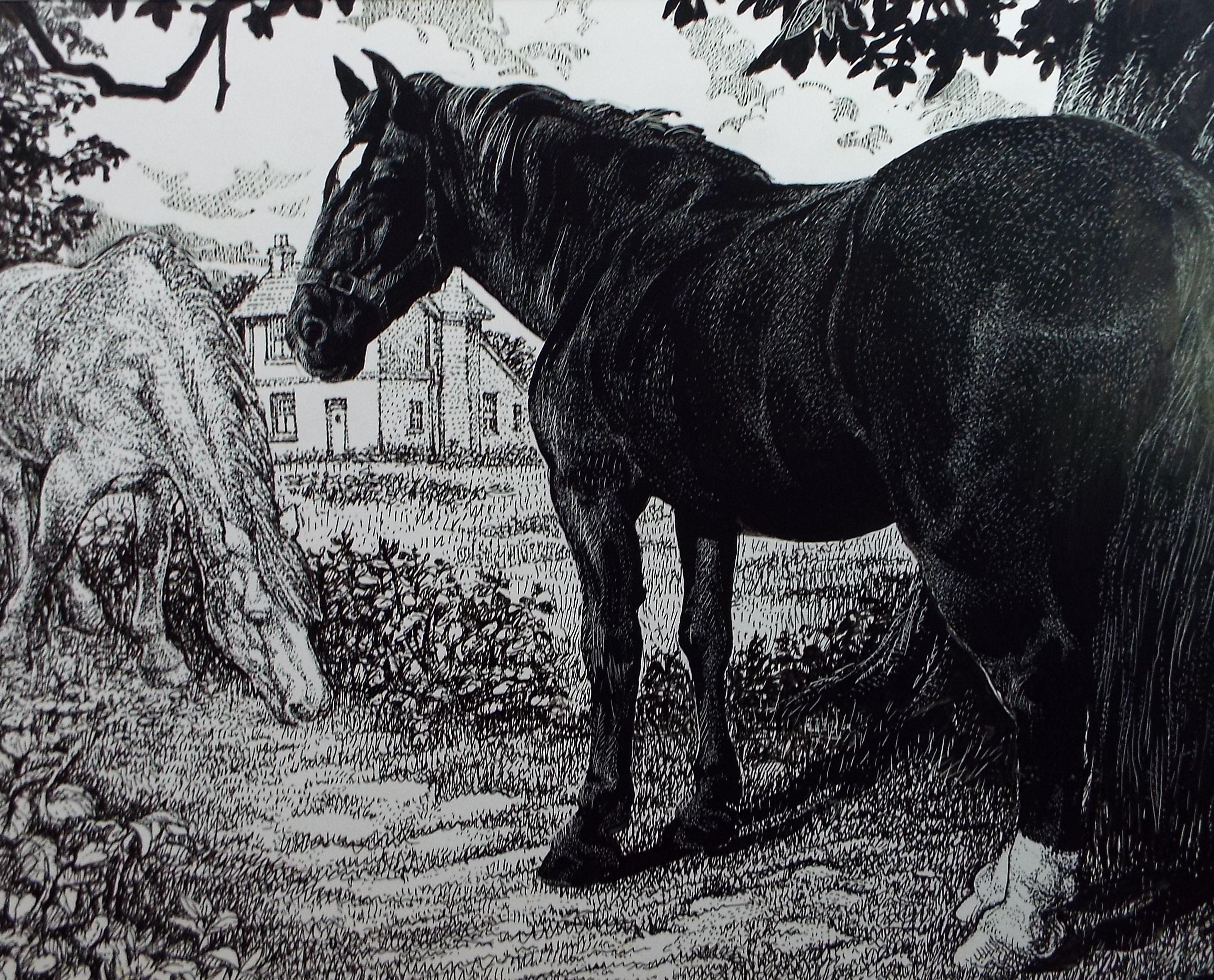 Original Scraperboard & ink drawing, 'Horses in the Paddock', Lorraine Abraham RSMA (1941-2023), Circa 1990's