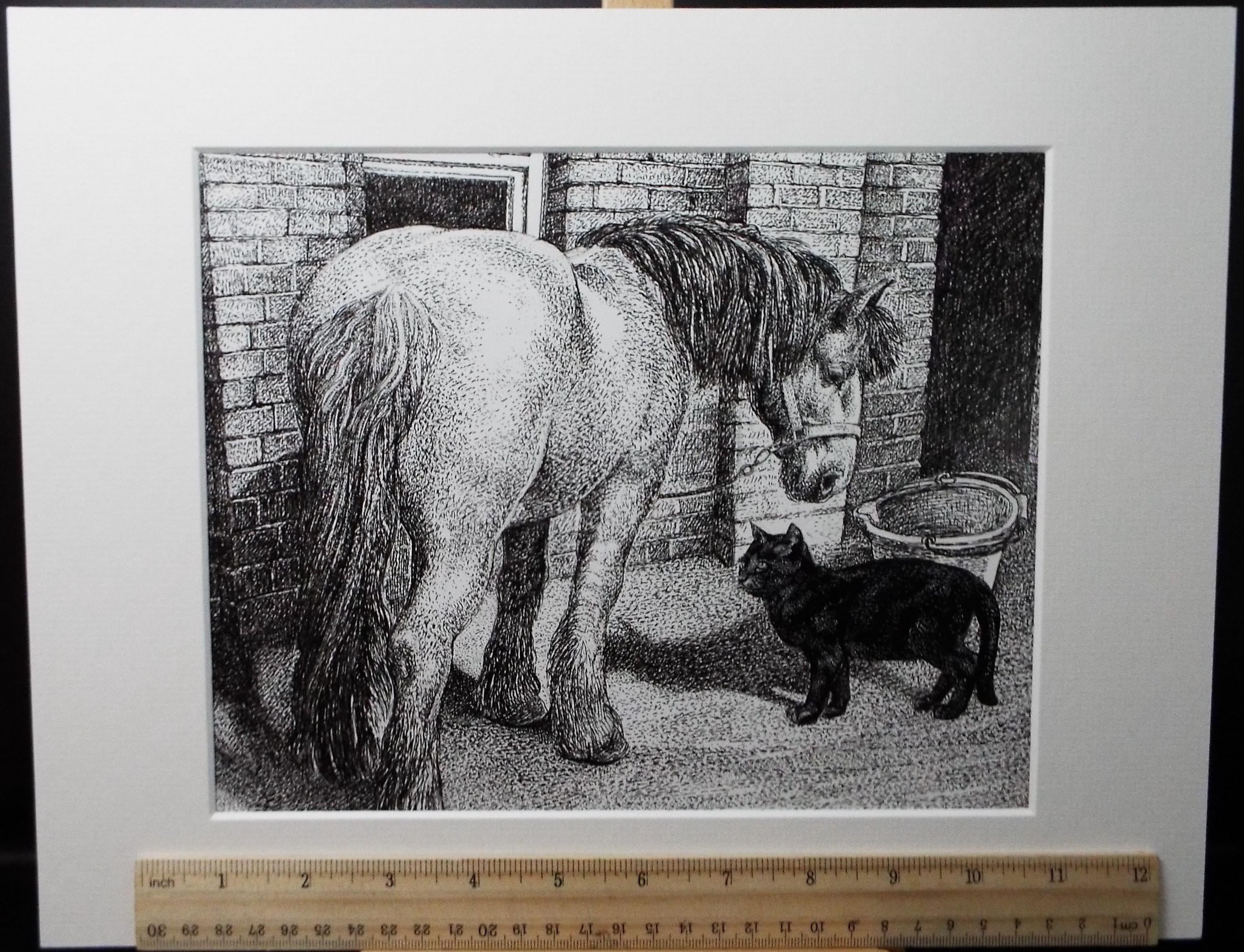 Original Scraperboard & ink drawing, 'Pony and Black Cat', Lorraine Abraham RSMA (1941-2023), Circa 1990's