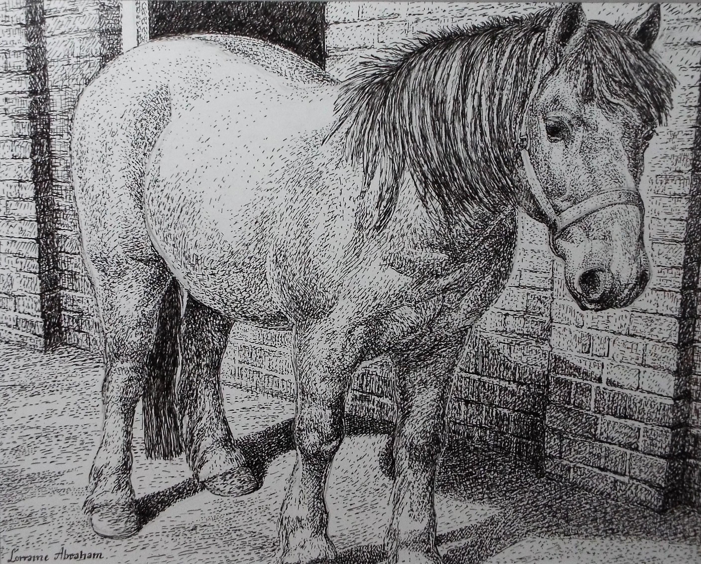 Original Scraperboard & ink drawing, 'Benji', Lorraine Abraham RSMA (1941-2023), Circa 1990's