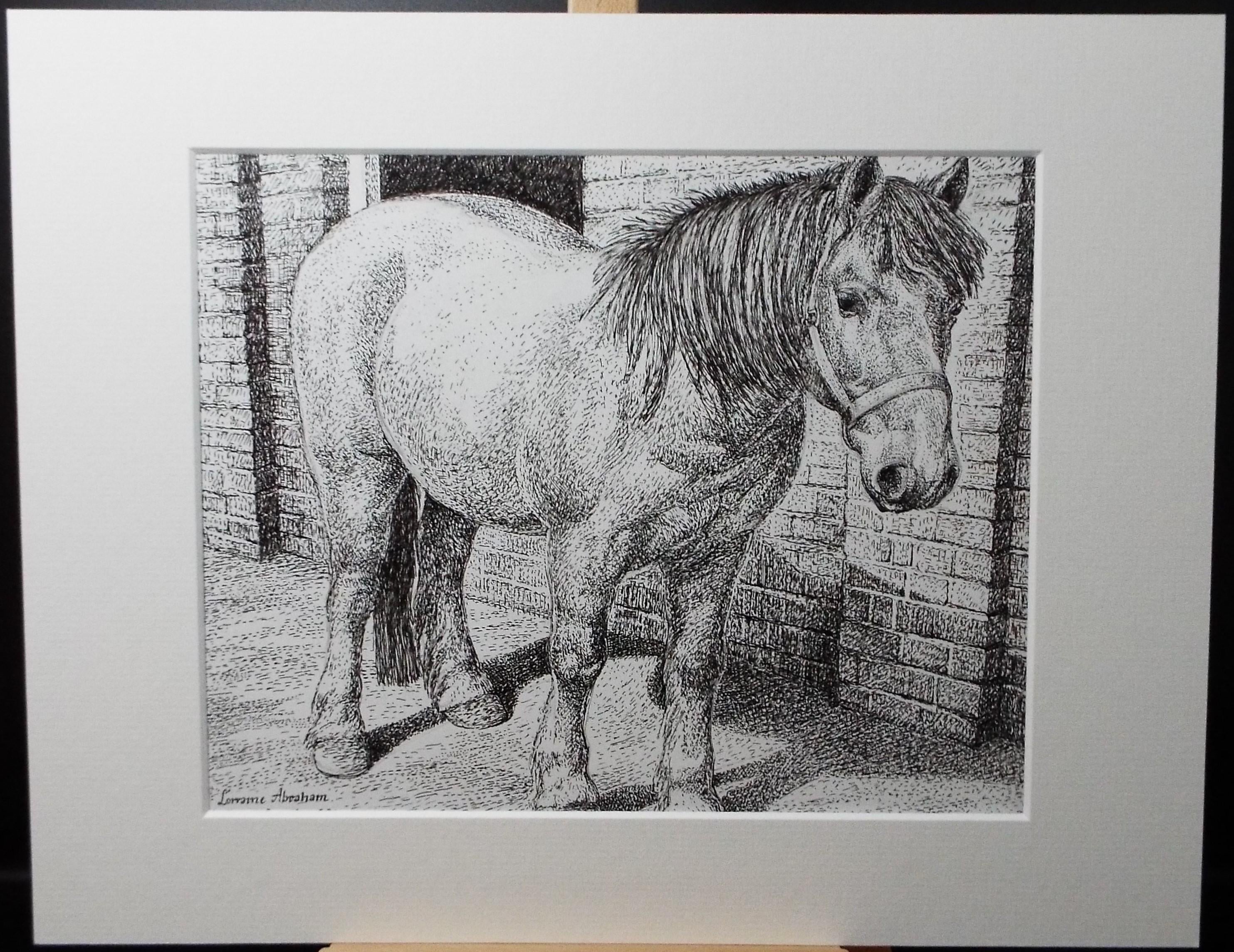 Original Scraperboard & ink drawing, 'Benji', Lorraine Abraham RSMA (1941-2023), Circa 1990's