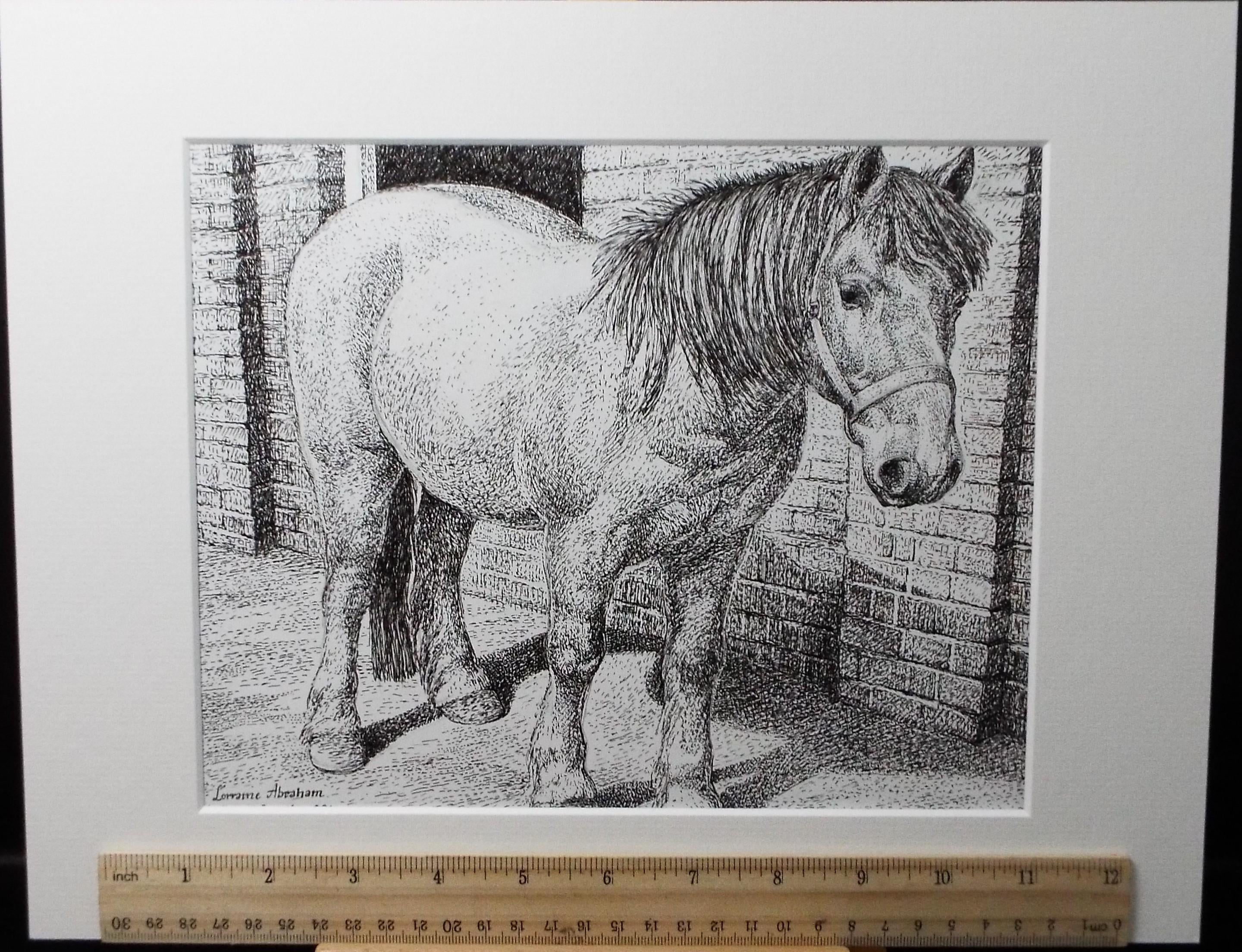 Original Scraperboard & ink drawing, 'Benji', Lorraine Abraham RSMA (1941-2023), Circa 1990's