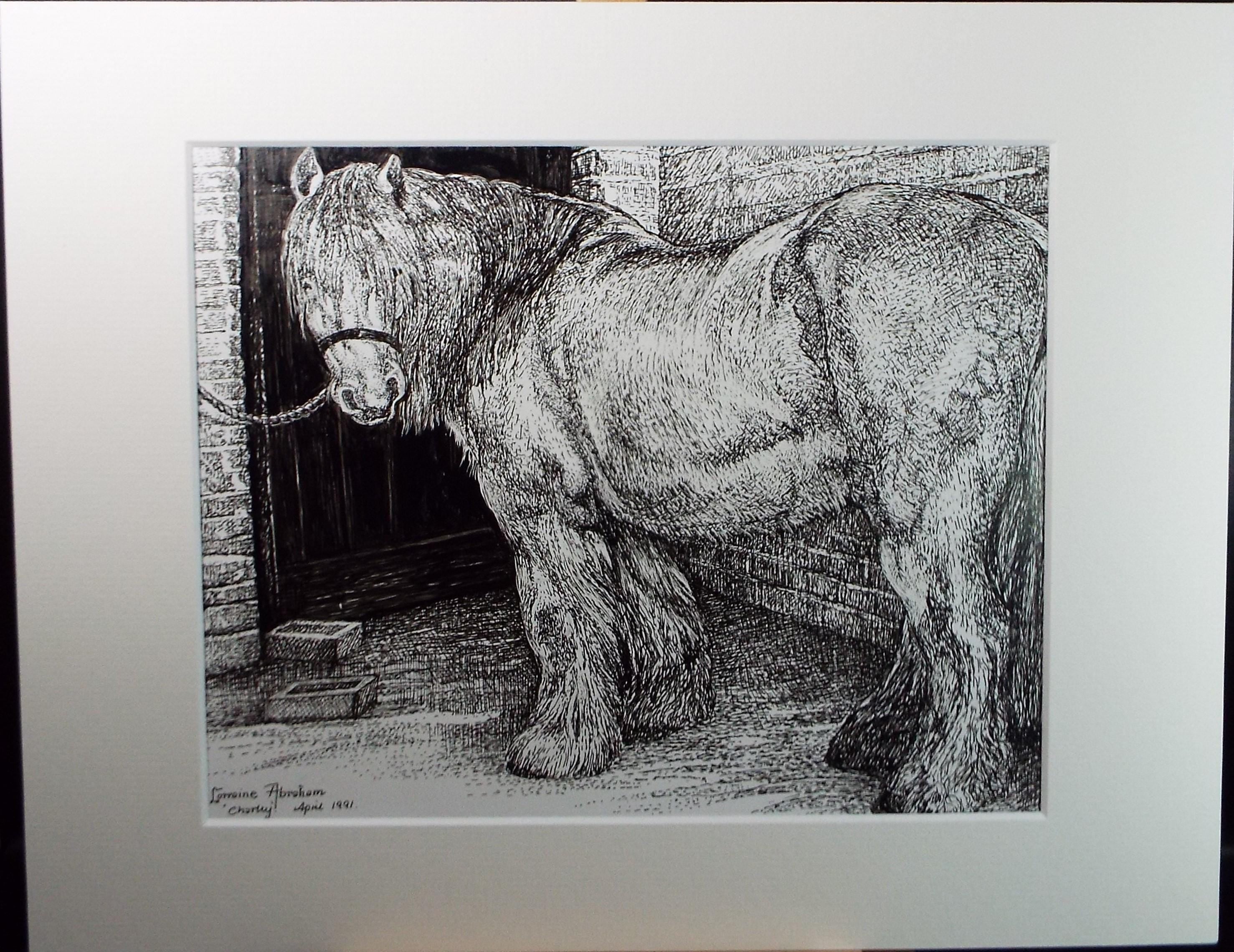 Original ink drawing, 'Charley', Lorraine Abraham RSMA (1941-2023), dated 1991