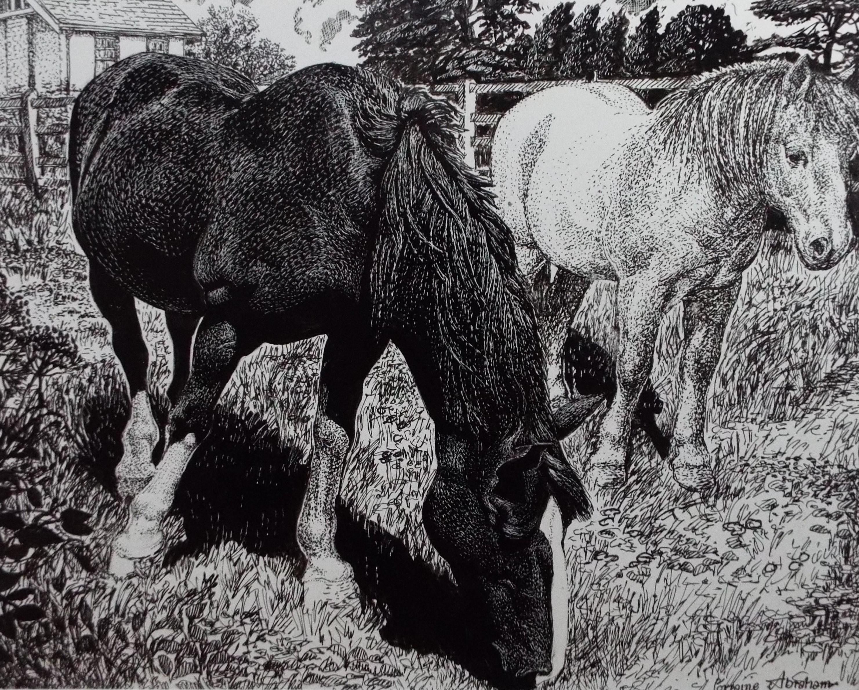 Original Scraperboard & ink drawing, 'Two Ponies', Lorraine Abraham RSMA (1941-2023), Circa 1990's