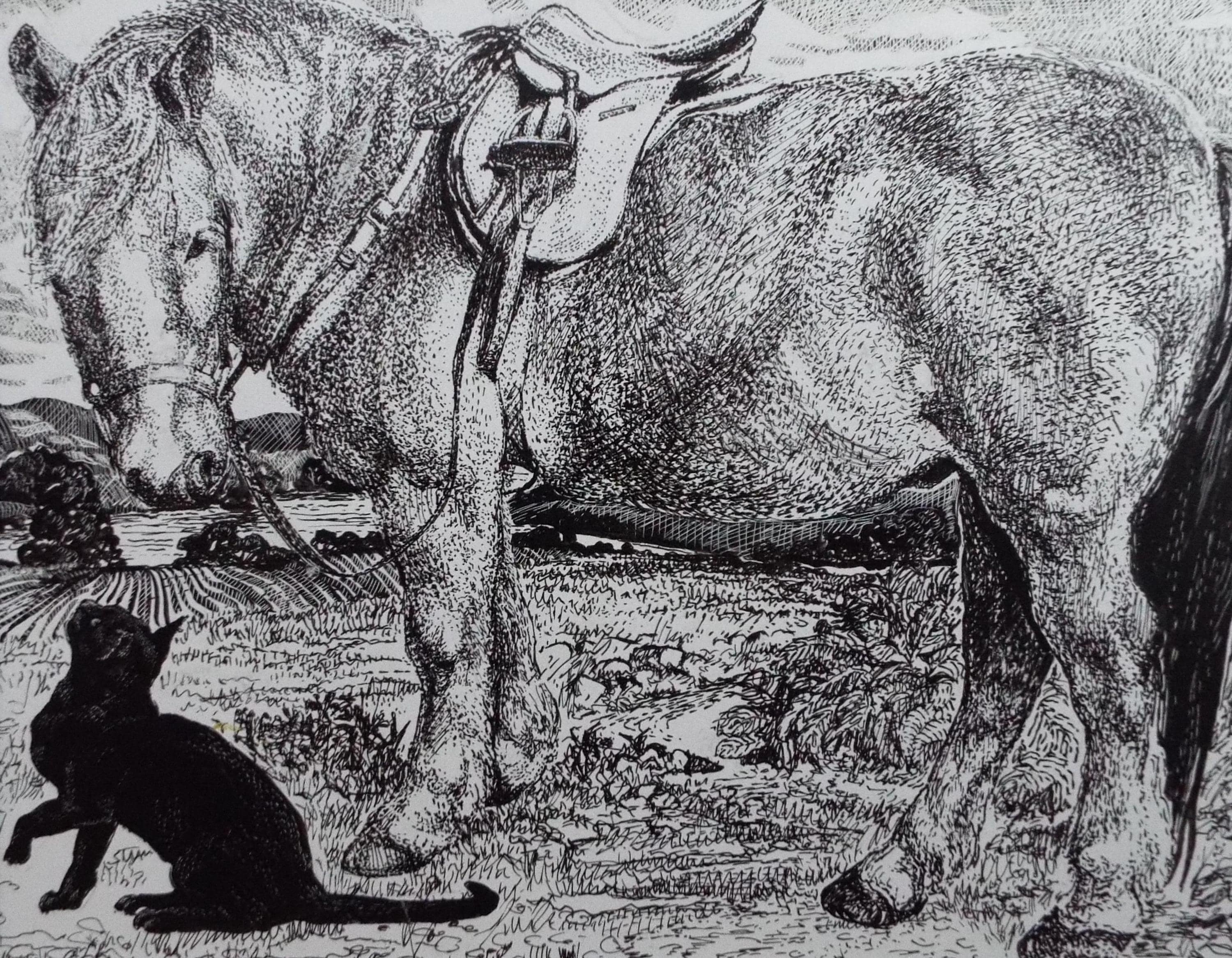 Original Scraperboard & ink drawing, 'Pony and Black Cat', Lorraine Abraham RSMA (1941-2023), Circa 1990's