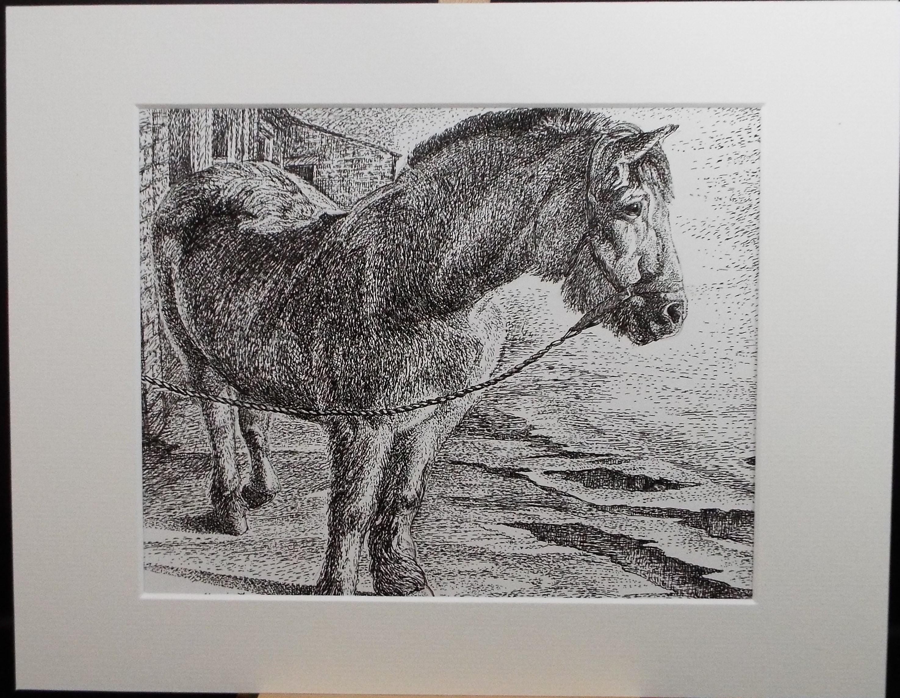 Original Scraperboard & ink drawing, 'Muffin', Lorraine Abraham RSMA (1941-2023), Circa 1990's