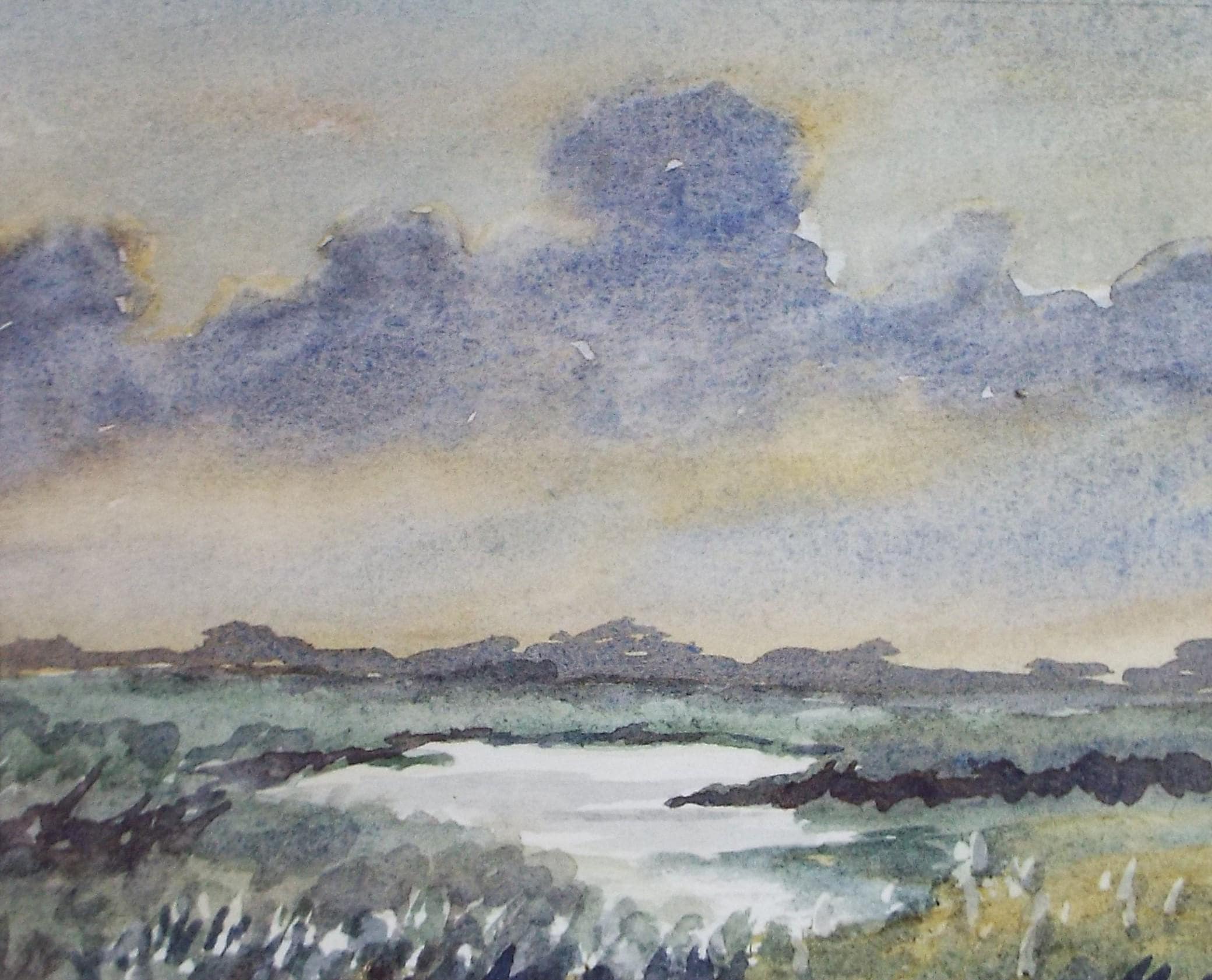 Original Watercolour, 'Water Meadow', Circa 1990's ,Artist Unknown