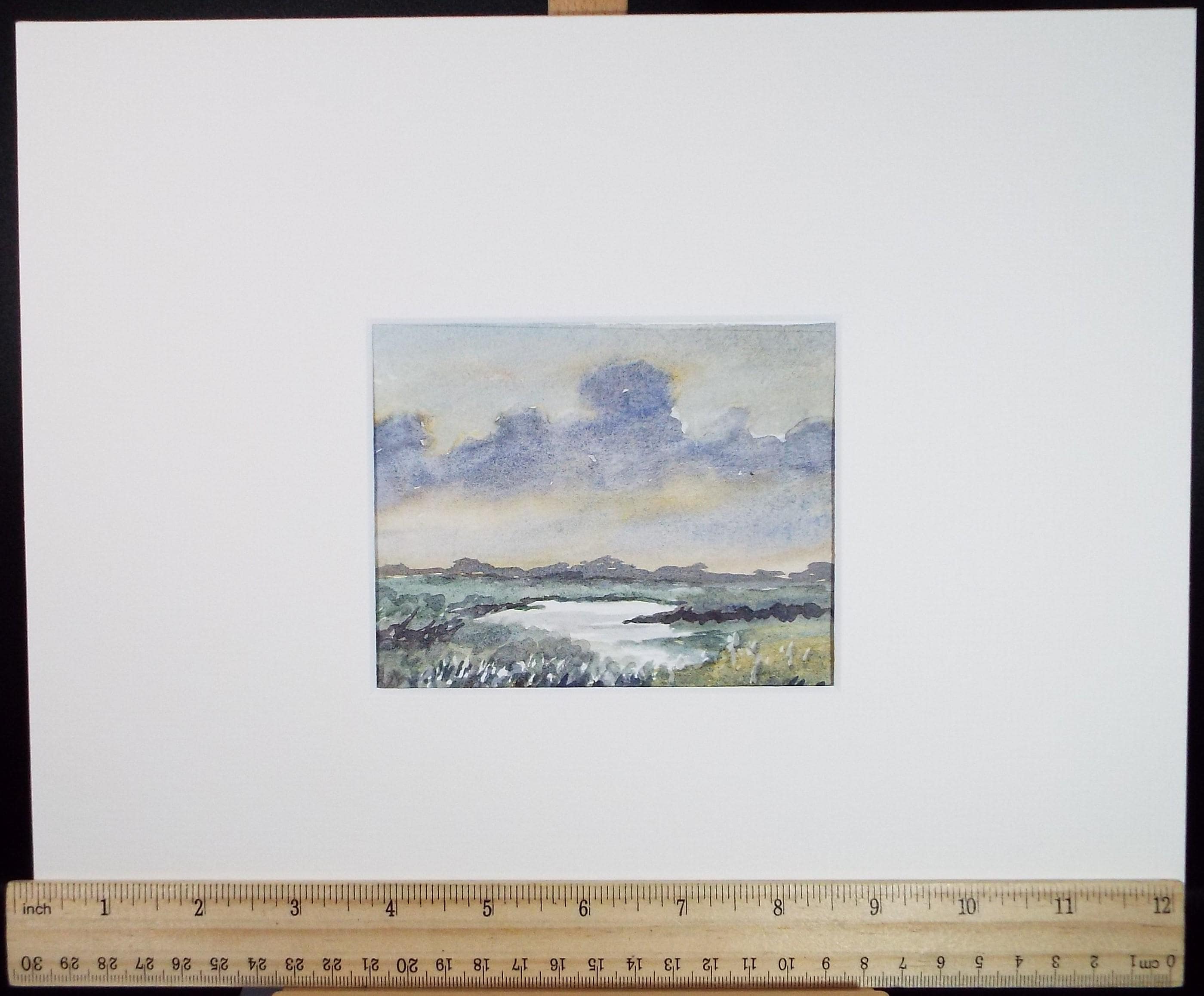 Original Watercolour, 'Water Meadow', Circa 1990's ,Artist Unknown