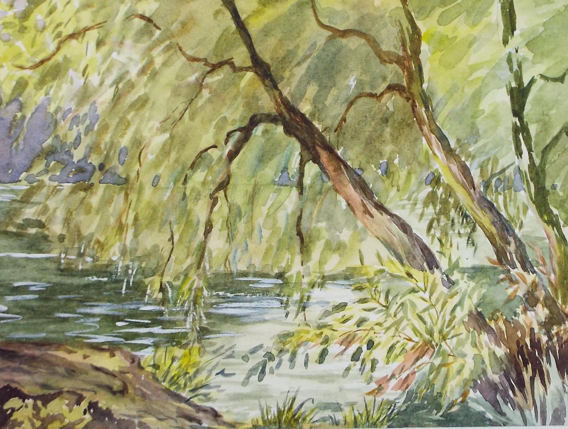 Original Watercolour, 'Willows, Sonning on Thames', Artist Unknown, Dated 1995