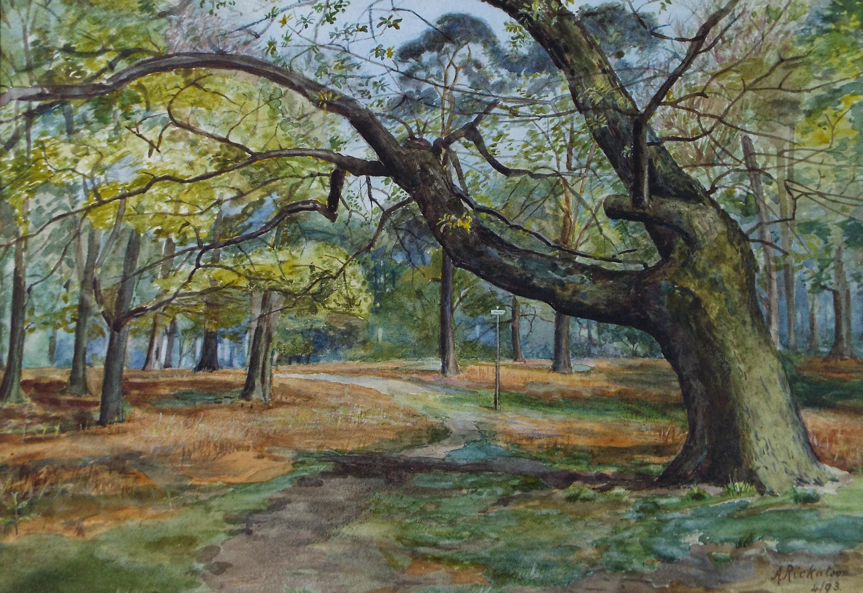 Original Watercolour, 'Track through Woodland', Dated 1893, A Rickatson