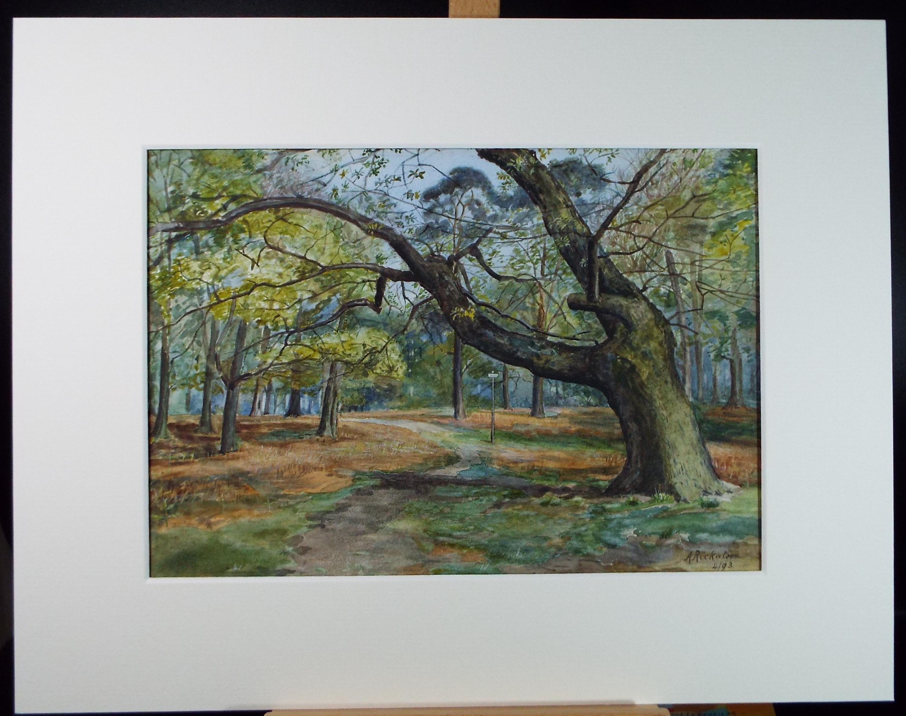 Original Watercolour, 'Track through Woodland', Dated 1893, A Rickatson