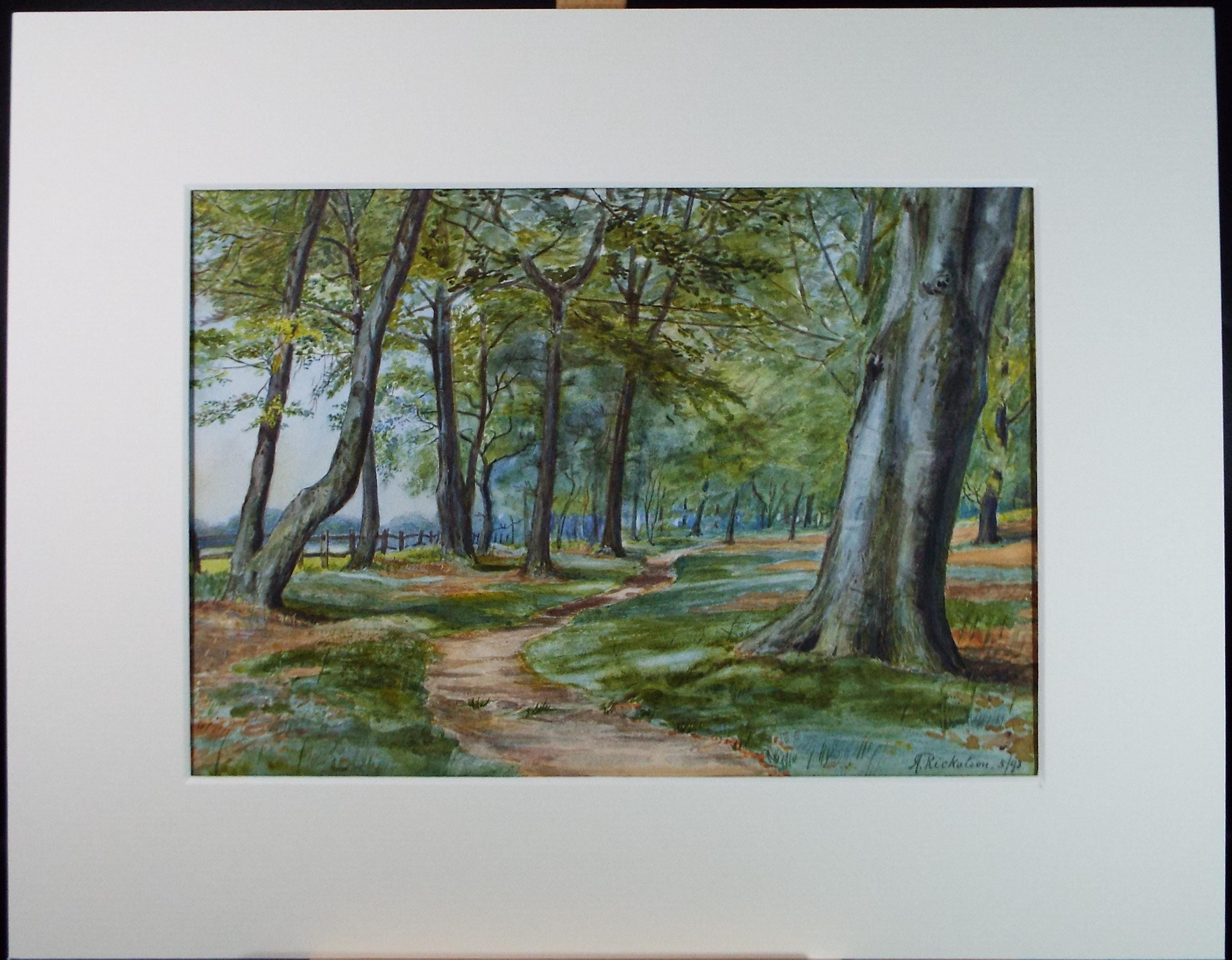 Original Watercolour, 'Track through Woodland', Dated 1893, A Rickatson