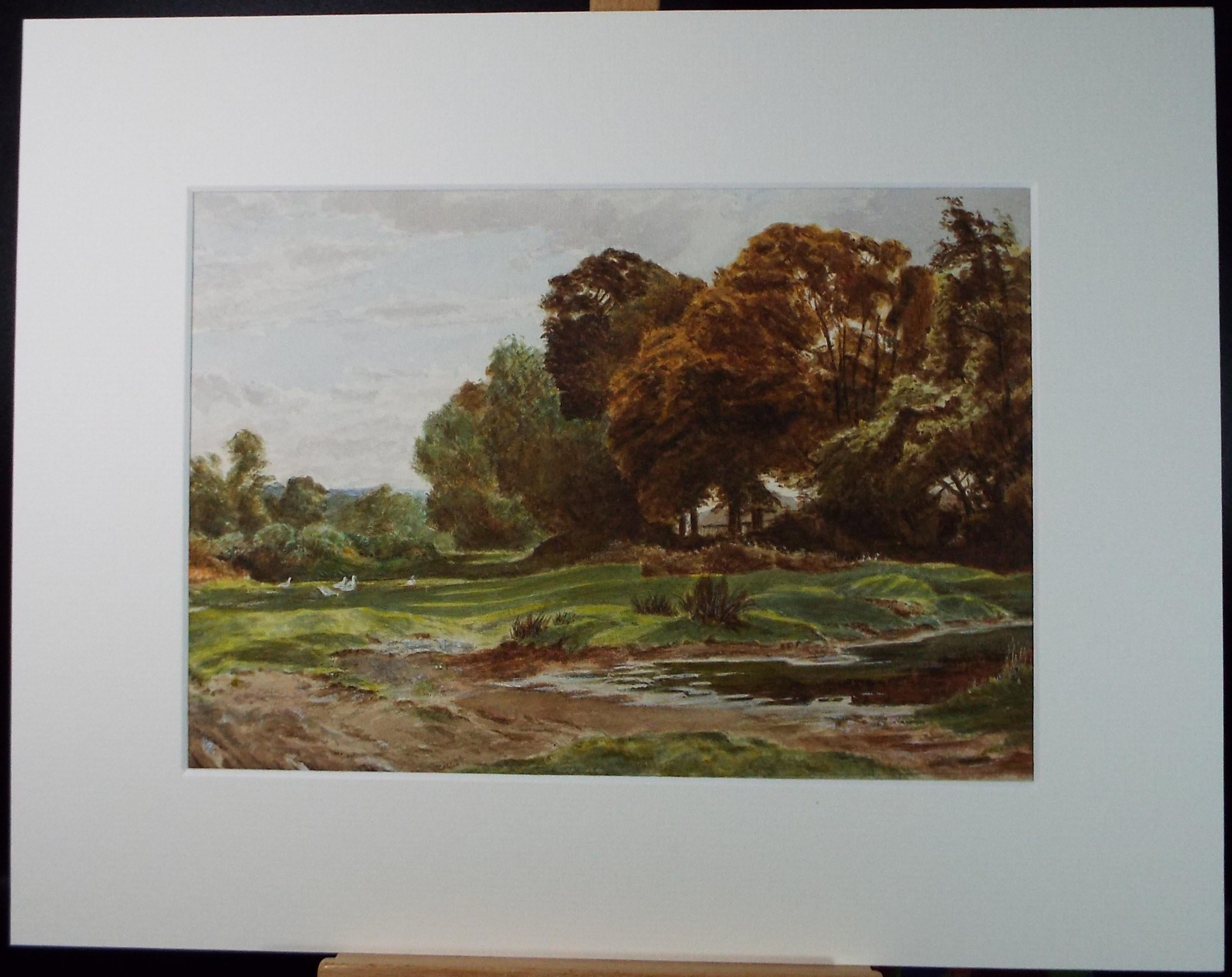 Original Watercolour, 'A Corner of Esher Common', Circa 1880, Artist Unknown