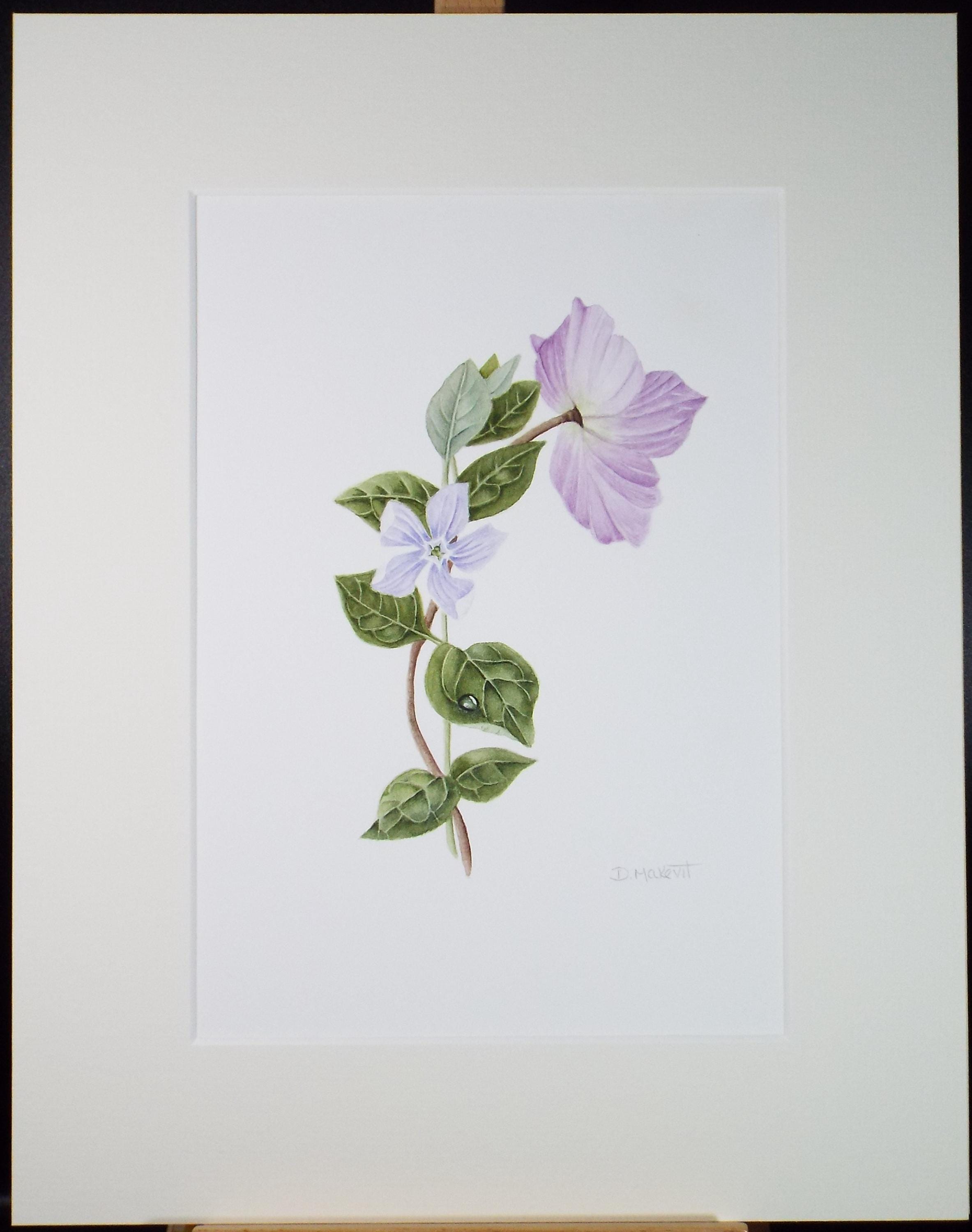 Original Watercolour, 'Hellebore & Periwinkle', Circa 1990's, Diane Bowley (20th Century, British)