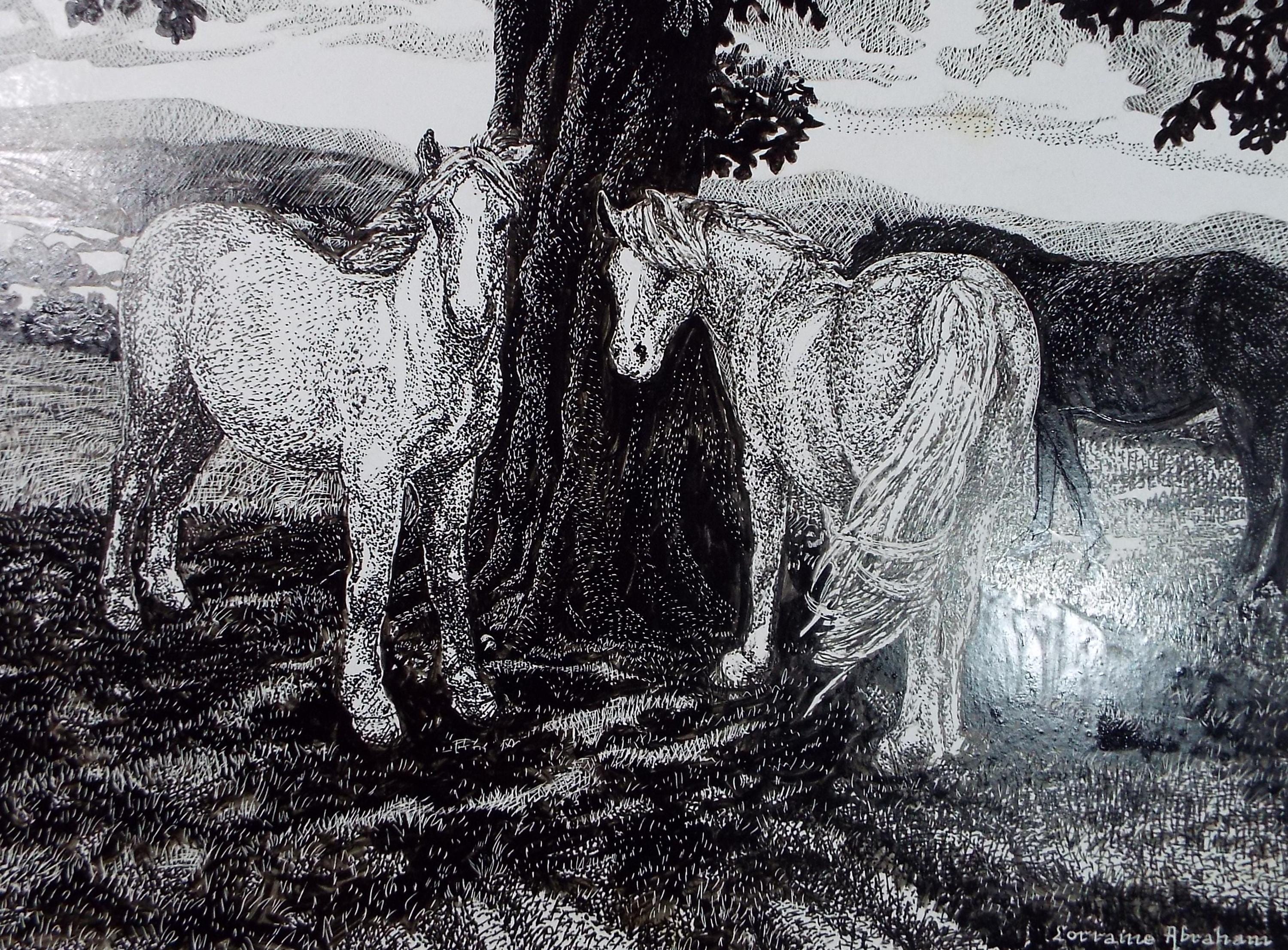 Original Scraperboard & ink drawing, 'Horses beneath the beech', Lorraine Abraham RSMA (1941-2023), Circa 1990's