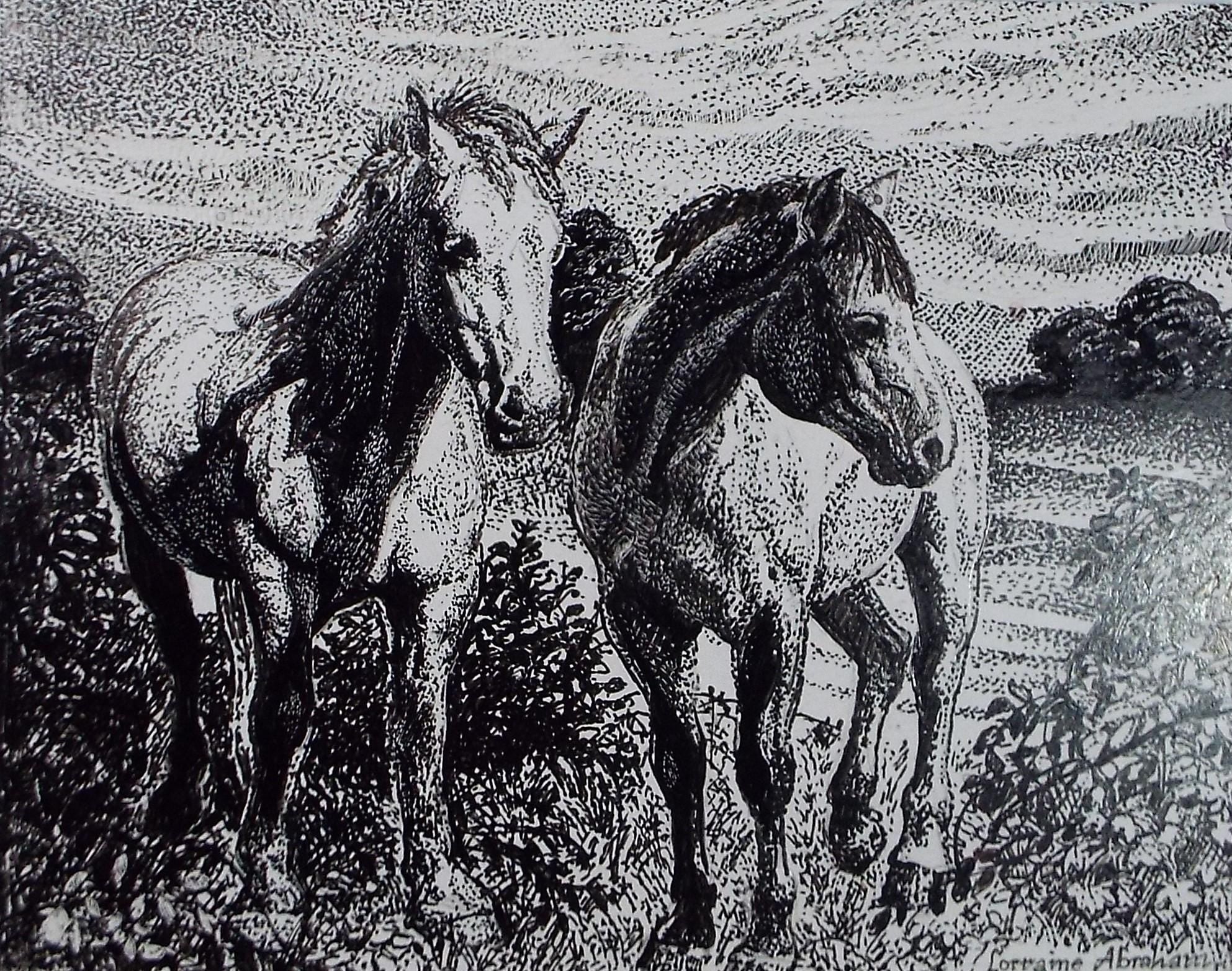 Original Scraperboard & ink drawing, 'Pair of Horses', Lorraine Abraham RSMA (1941-2023), Circa 1990's