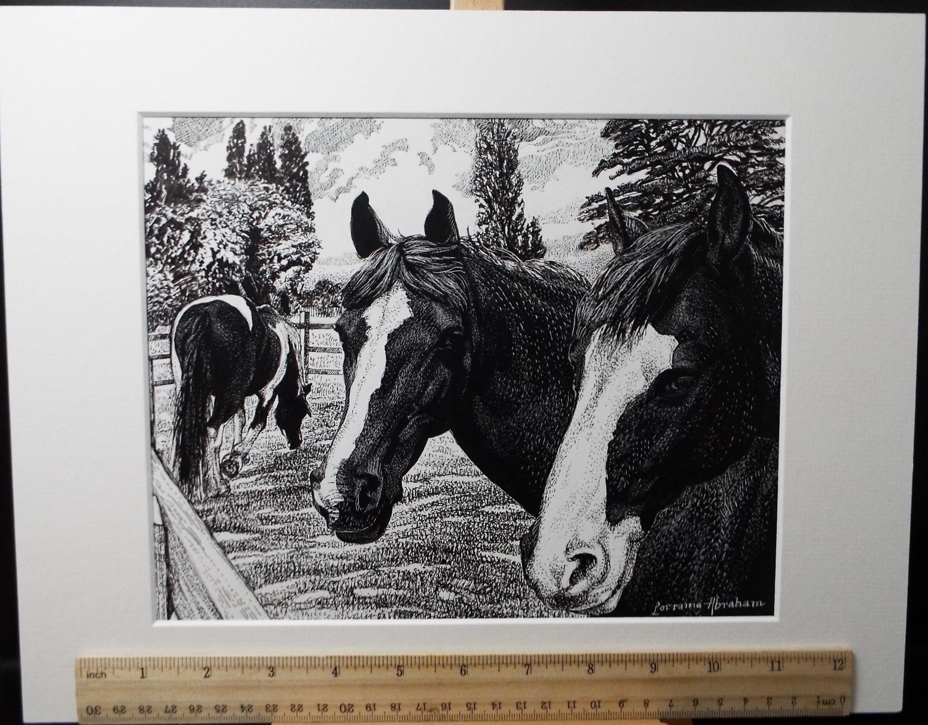 Original Scraperboard & ink drawing, 'Horses in the Paddock', Lorraine Abraham RSMA (1941-2023), Circa 1990's