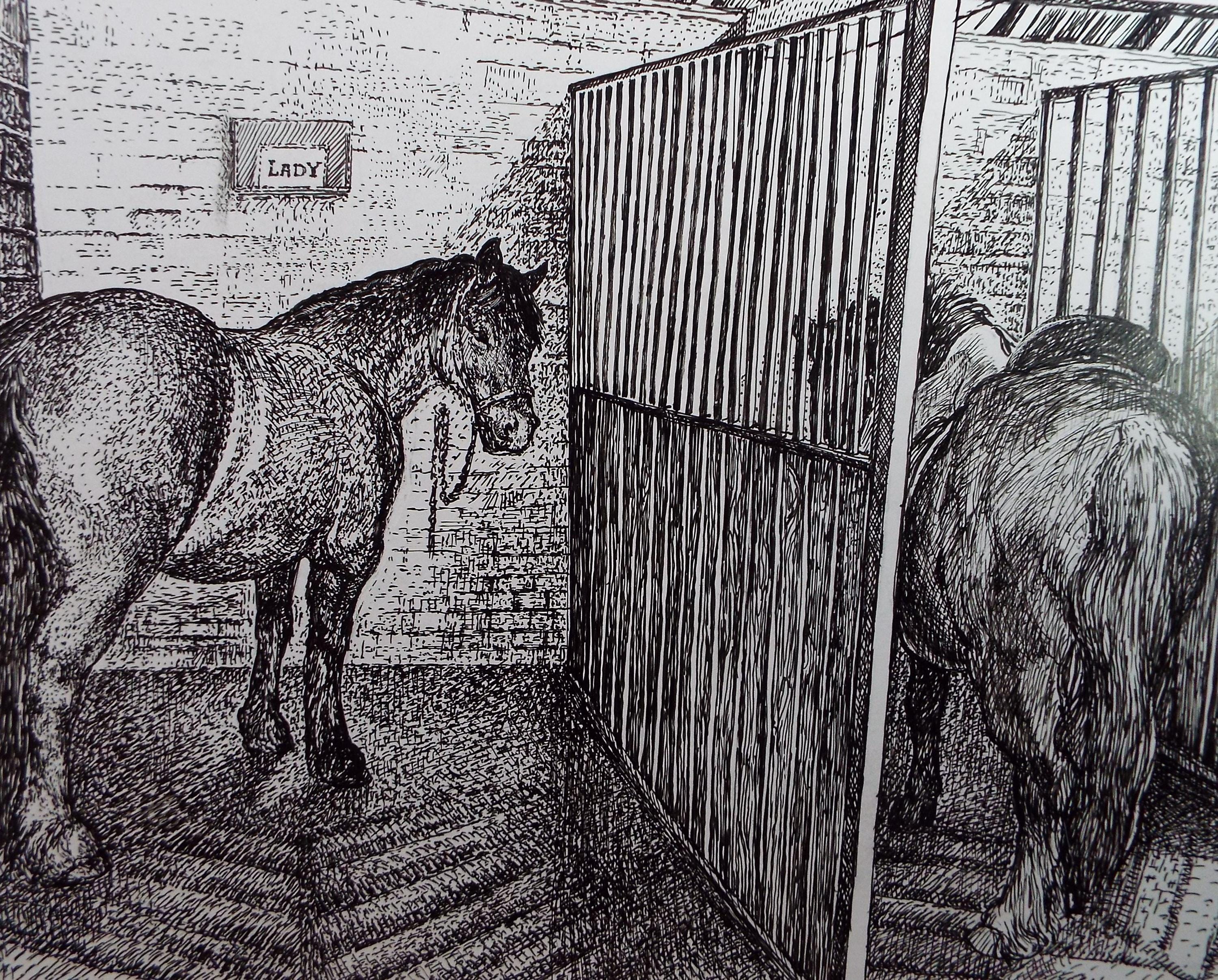 Original Scraperboard & ink drawing, 'Lady in the Stable', Lorraine Abraham RSMA (1941-2023), Circa 1990's