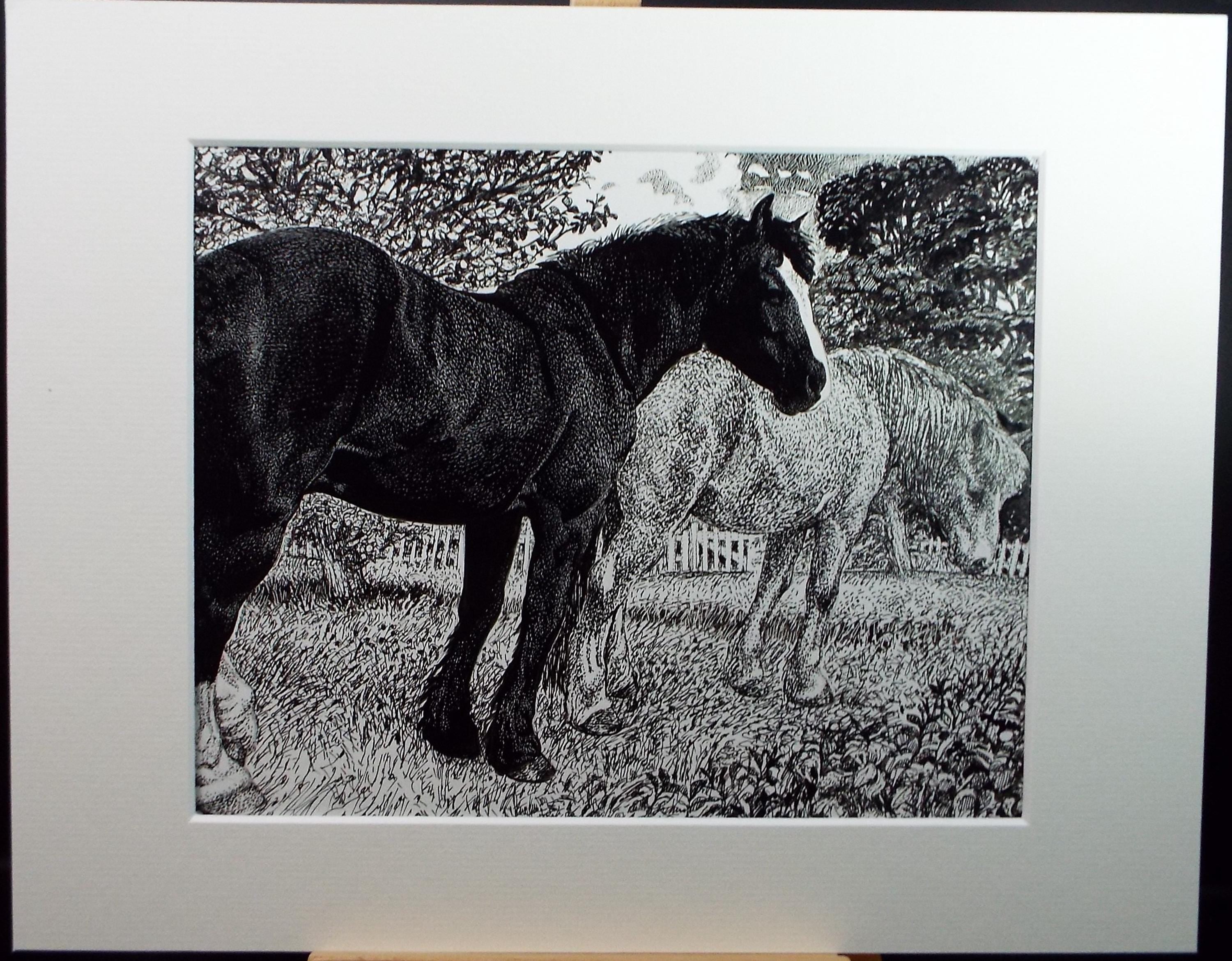 Original Scraperboard & ink drawing, 'Horses in the Paddock', Lorraine Abraham RSMA (1941-2023), Circa 1990's