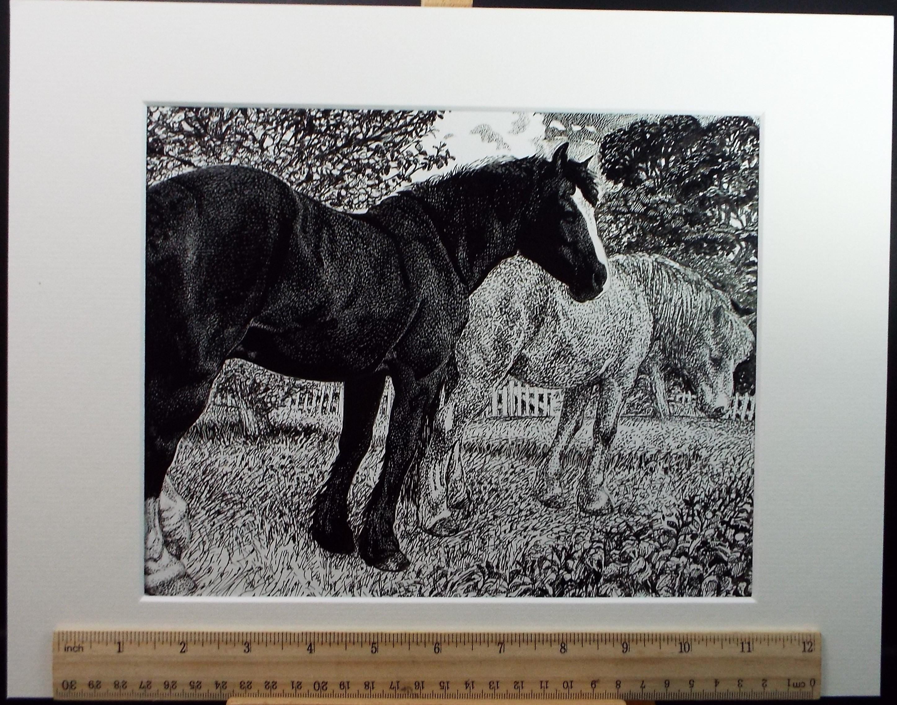 Original Scraperboard & ink drawing, 'Horses in the Paddock', Lorraine Abraham RSMA (1941-2023), Circa 1990's