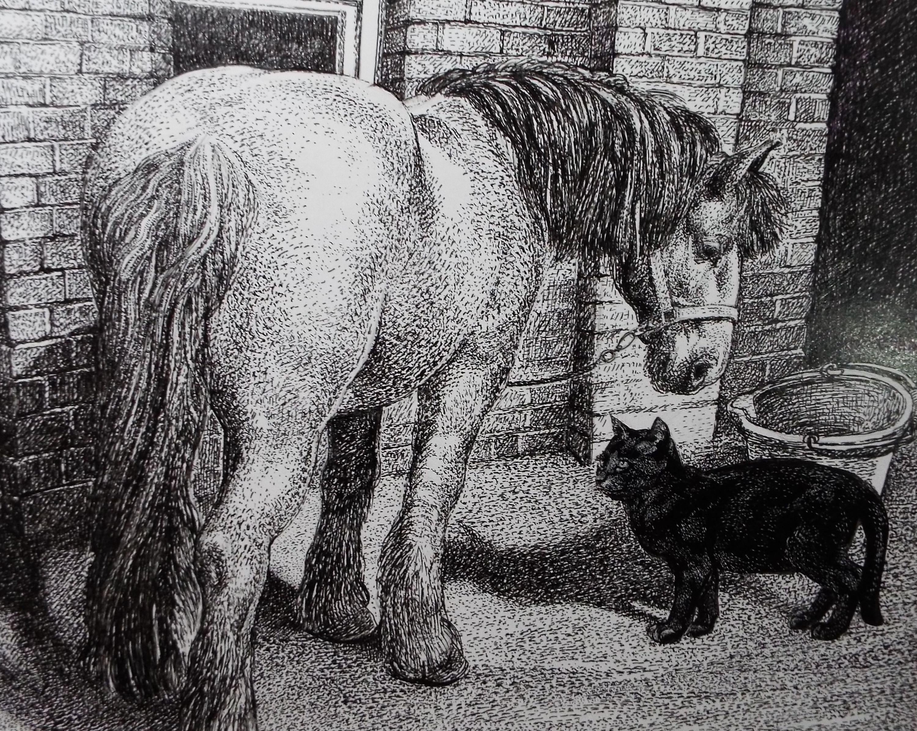 Original Scraperboard & ink drawing, 'Pony and Black Cat', Lorraine Abraham RSMA (1941-2023), Circa 1990's