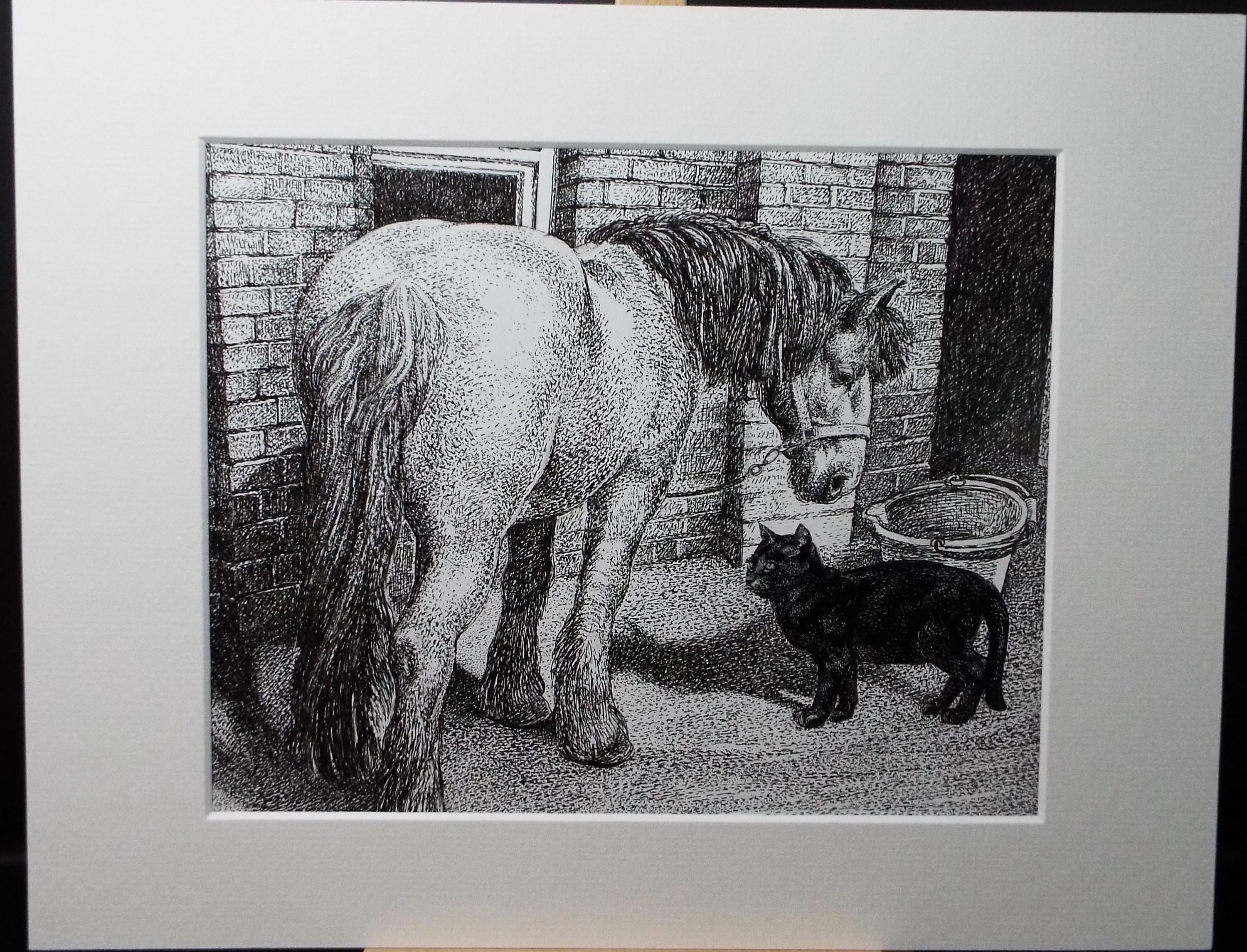 Original Scraperboard & ink drawing, 'Pony and Black Cat', Lorraine Abraham RSMA (1941-2023), Circa 1990's