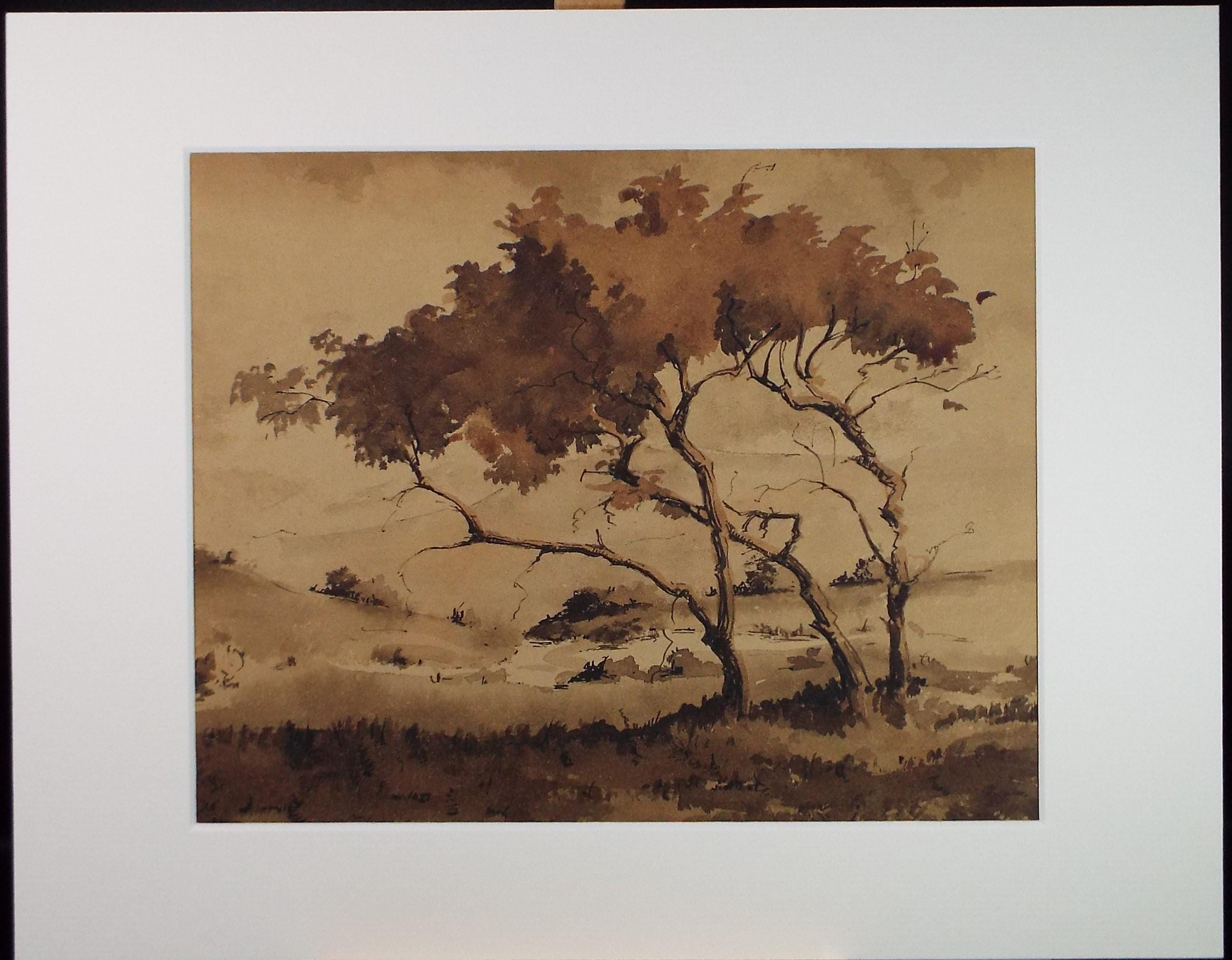 Original Sepia Watercolour, 'Landscape Study', Artist Unknown, circa 1950's