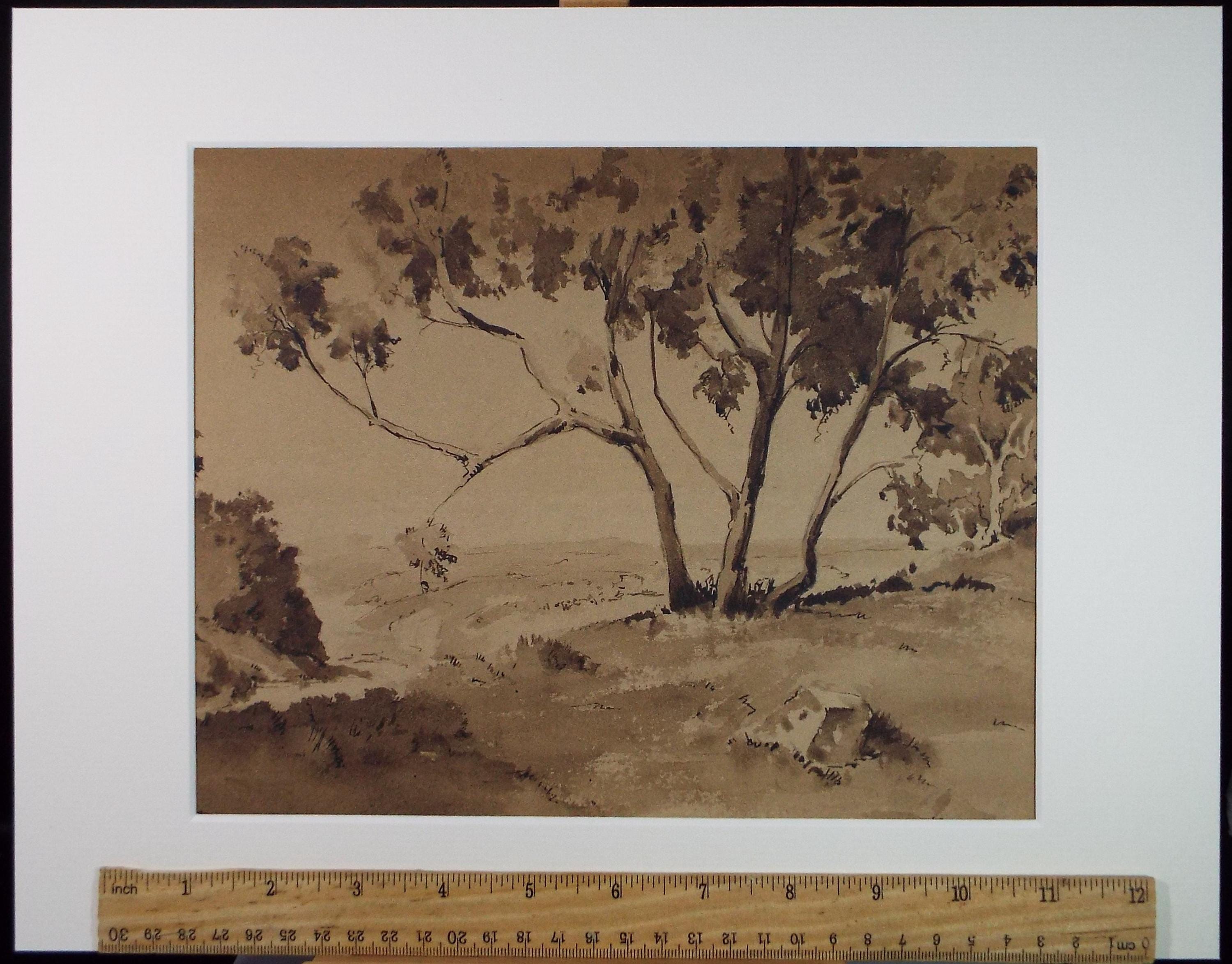 Original Sepia Watercolour, 'Landscape Study', Artist Unknown, circa 1950's