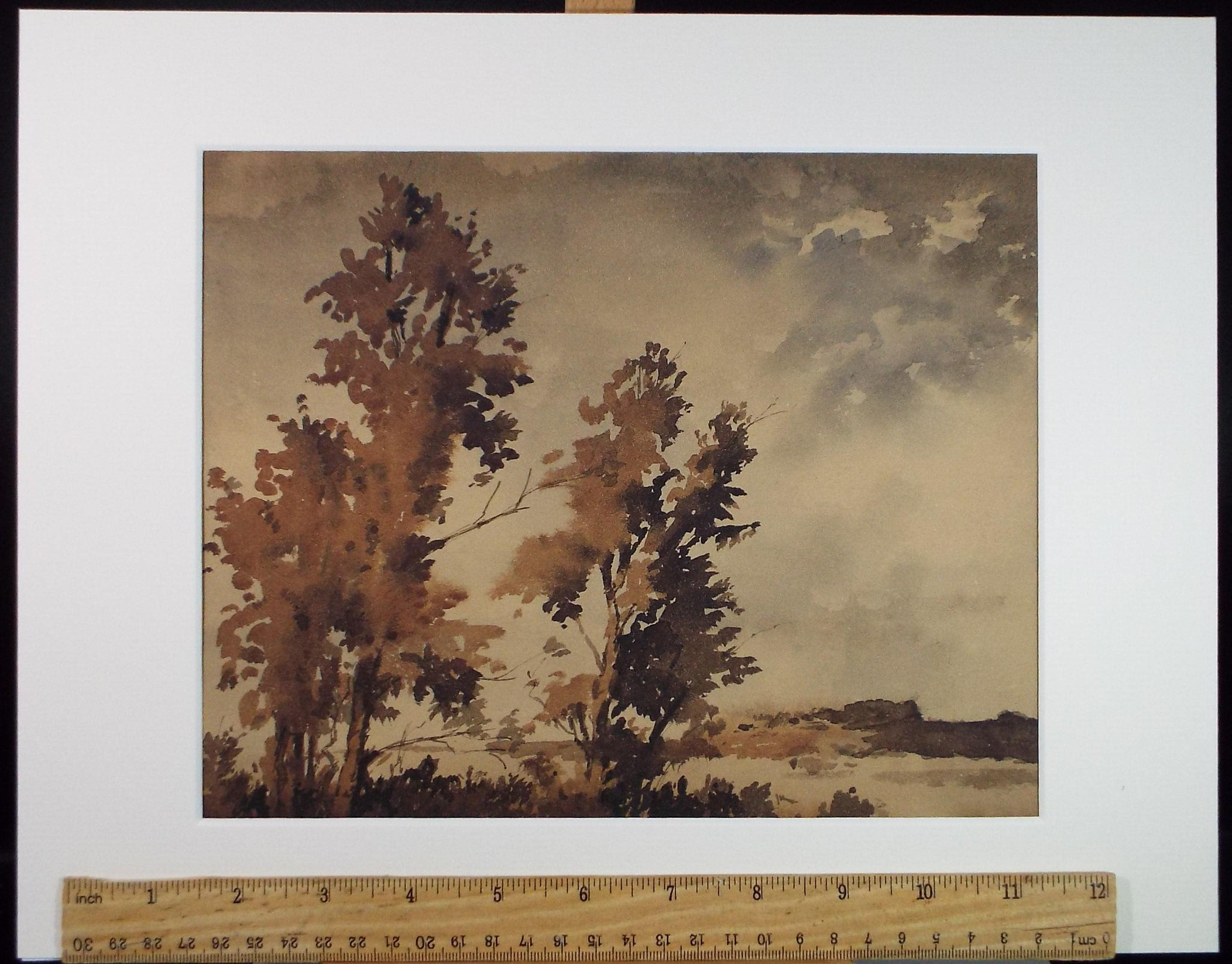 Original Sepia Watercolour, 'Landscape Study', Artist Unknown, circa 1950's