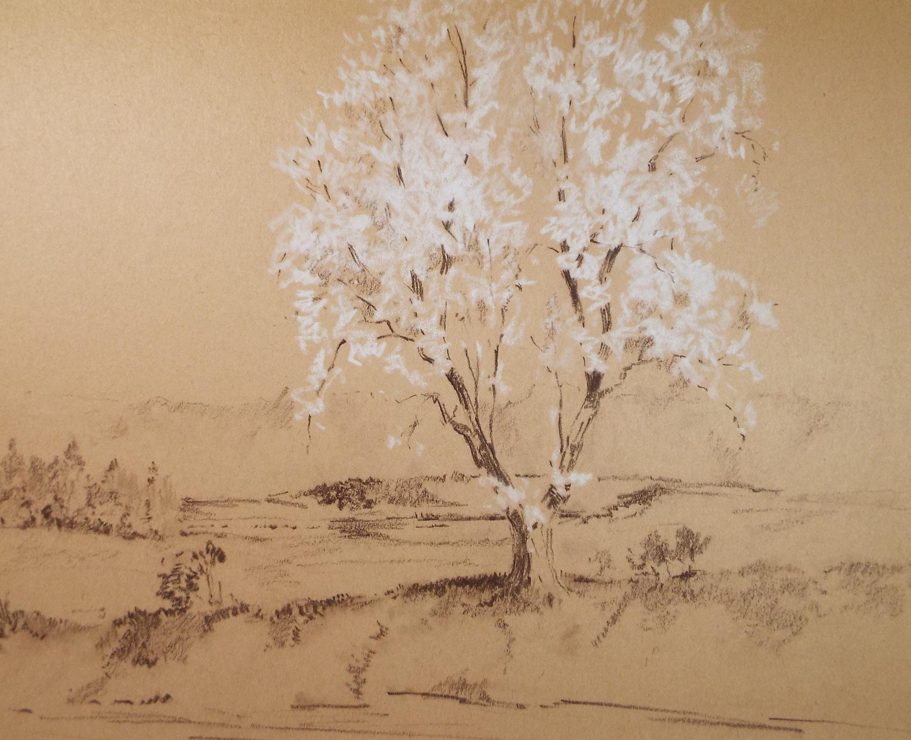 Original Pastel 'Tree in Blossom', circa 1950's, artist Unknown