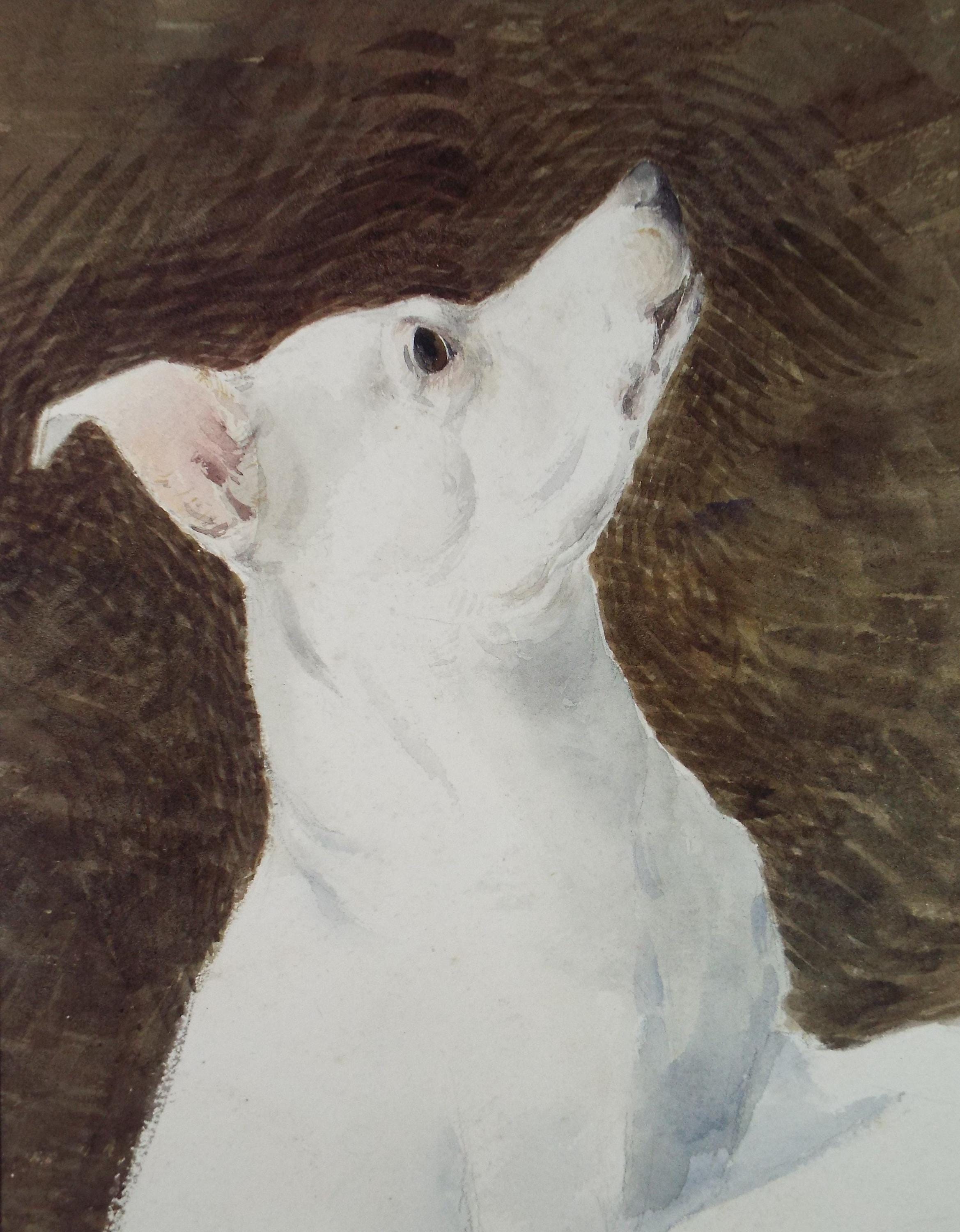 Original Gouache, 'Portrait of a terrier', circa 1940's, artist unknown