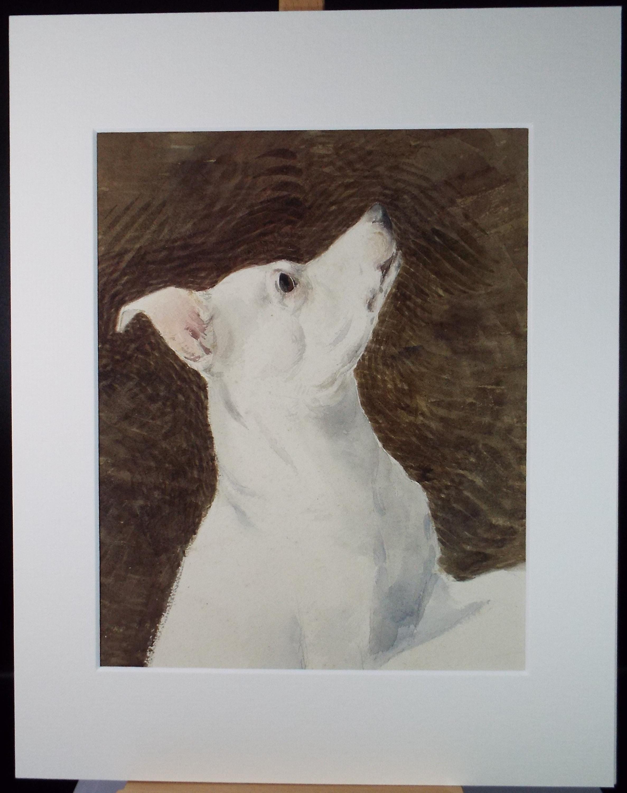 Original Gouache, 'Portrait of a terrier', circa 1940's, artist unknown