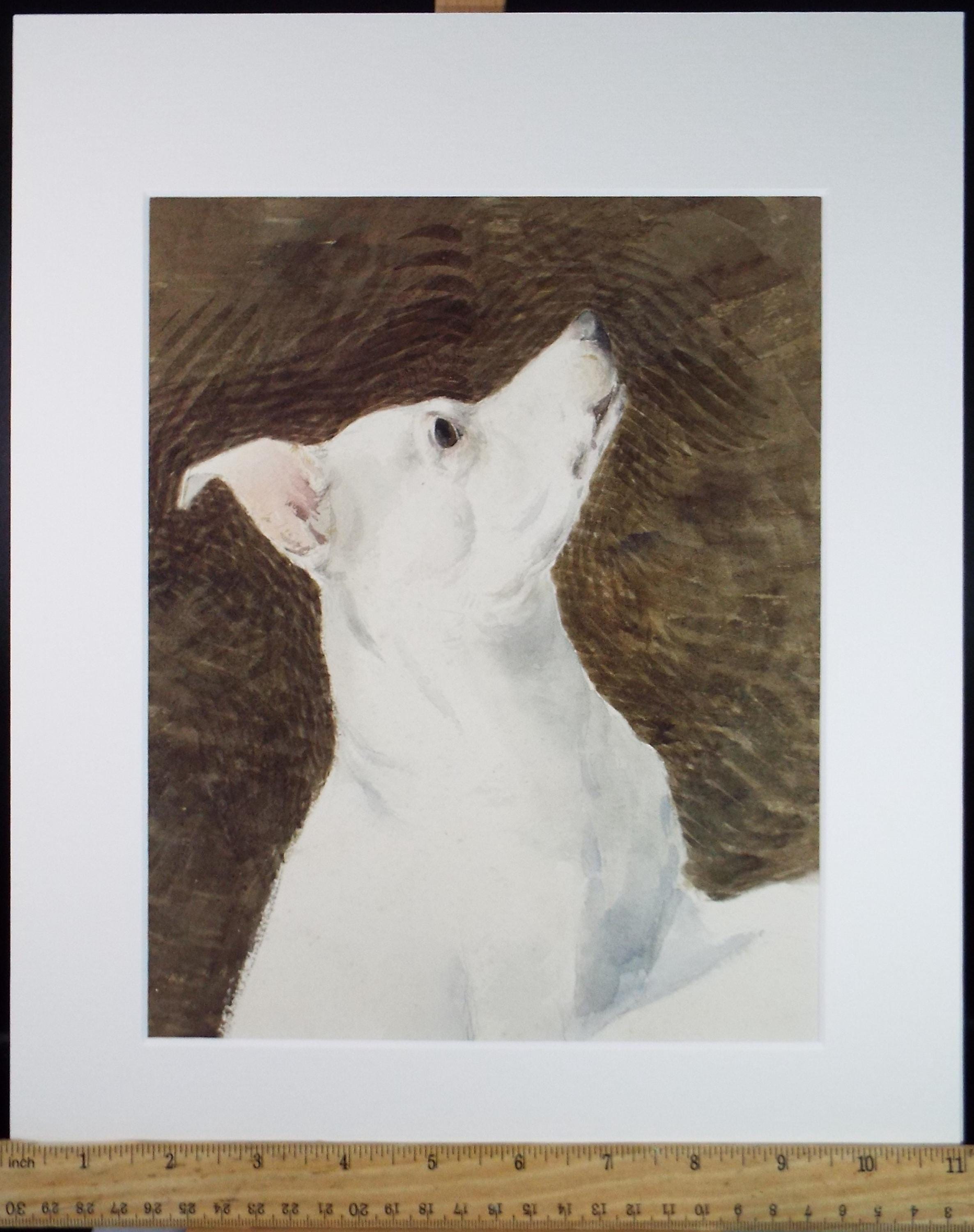 Original Gouache, 'Portrait of a terrier', circa 1940's, artist unknown