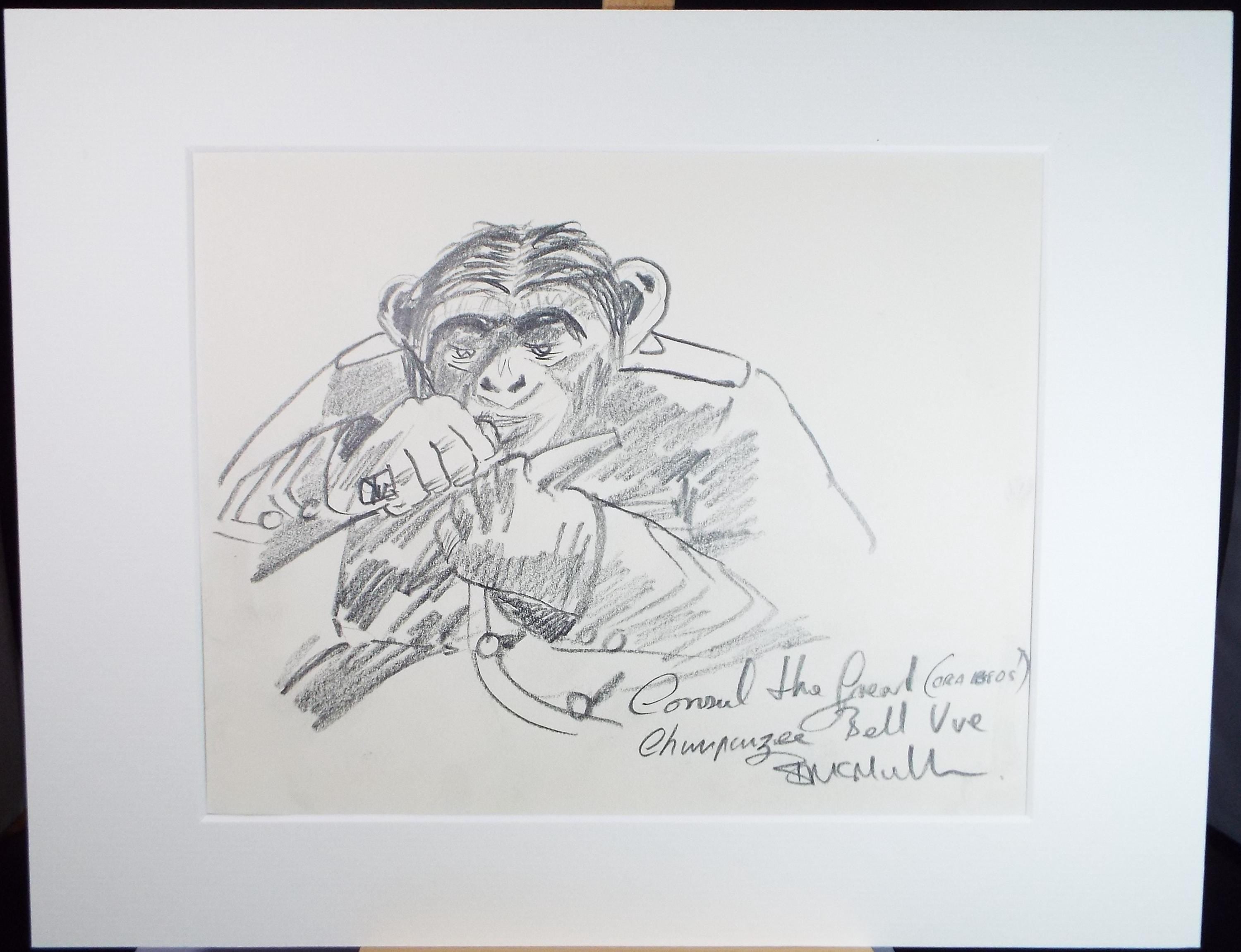 Original Pencil Drawing, 'Chimpanzee, Belle view', Bernard McMullen (British, 1952-2015), Circa 1990's