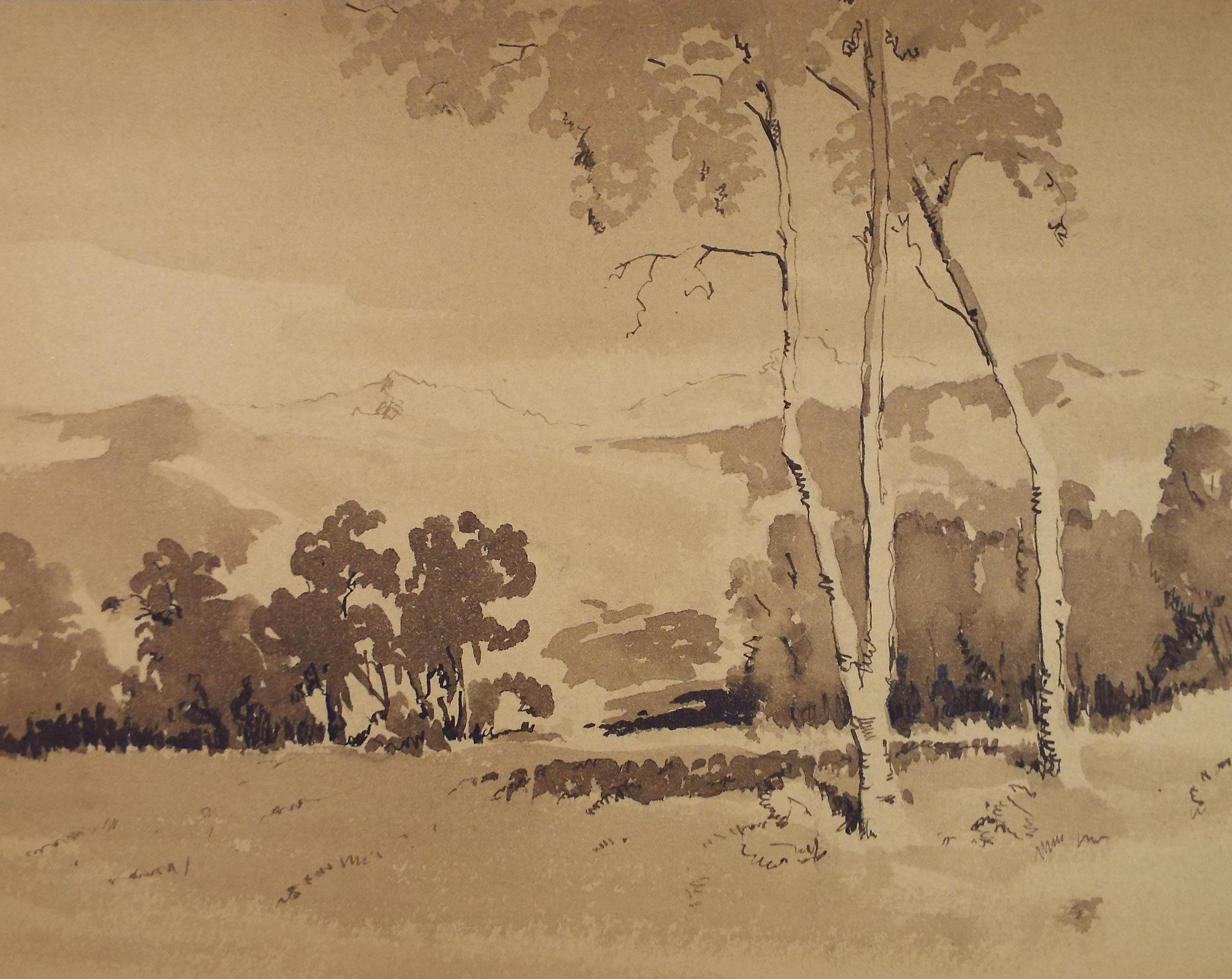 Original Sepia Watercolour, 'Landscape Study', Artist Unknown, circa 1950's