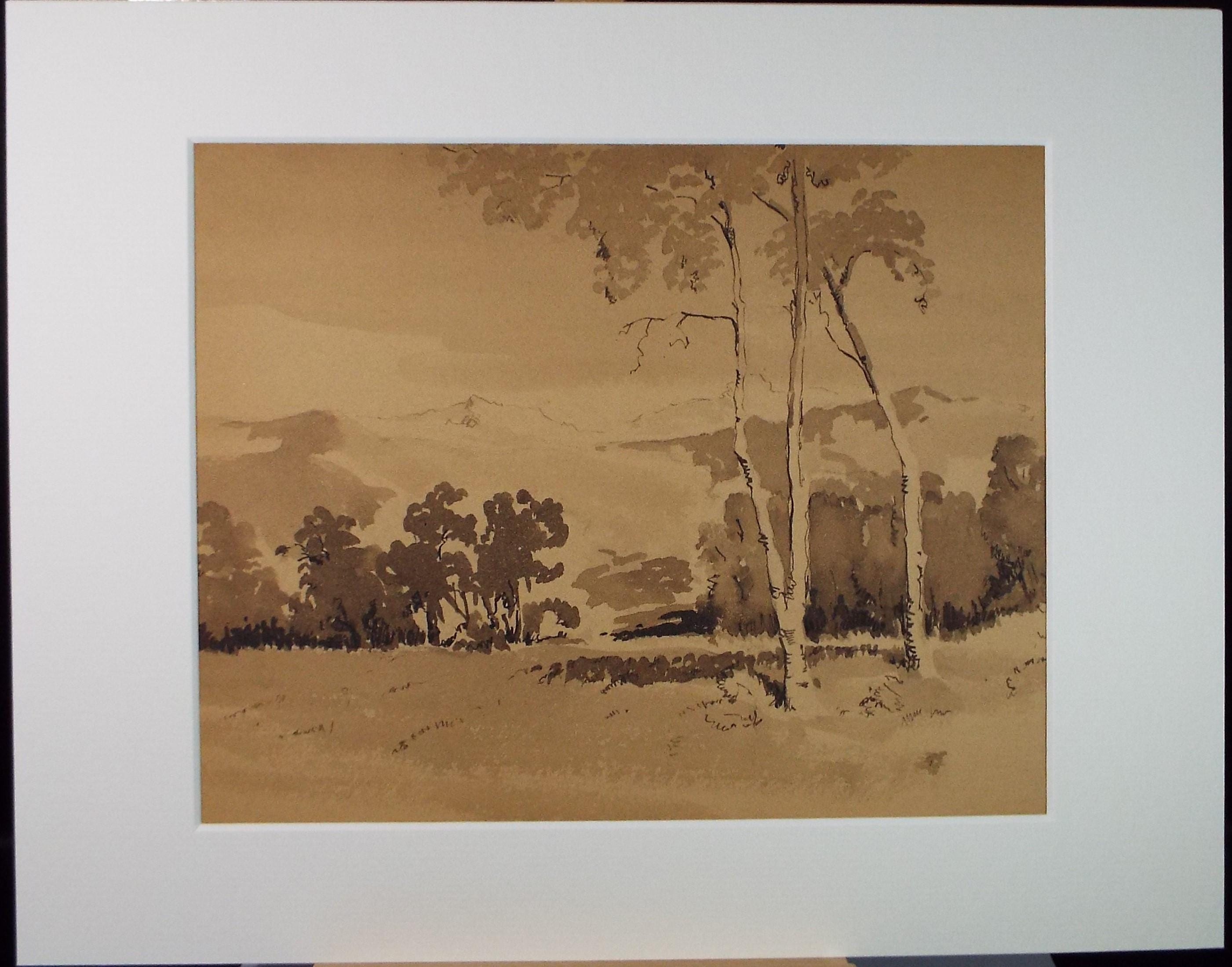 Original Sepia Watercolour, 'Landscape Study', Artist Unknown, circa 1950's