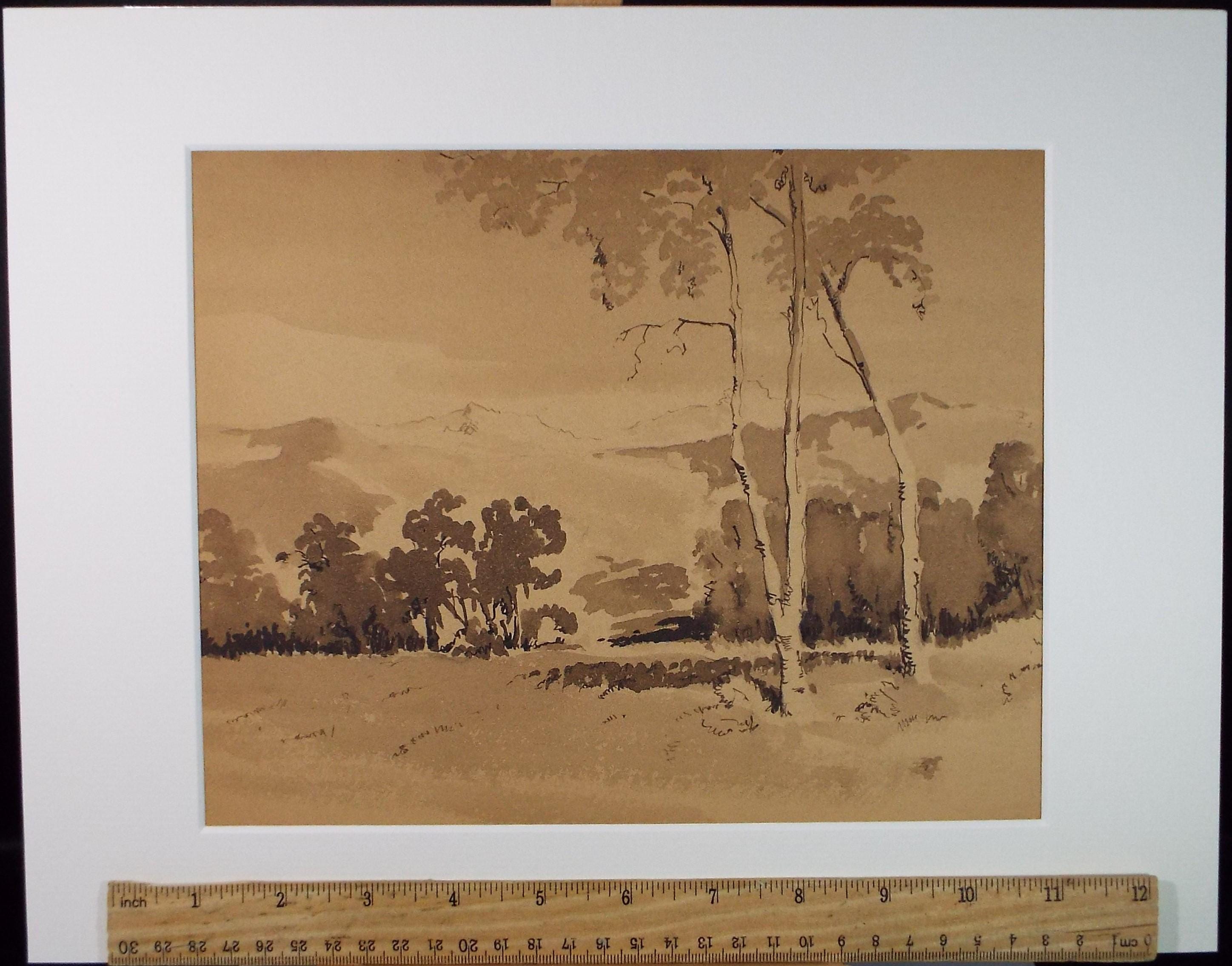 Original Sepia Watercolour, 'Landscape Study', Artist Unknown, circa 1950's