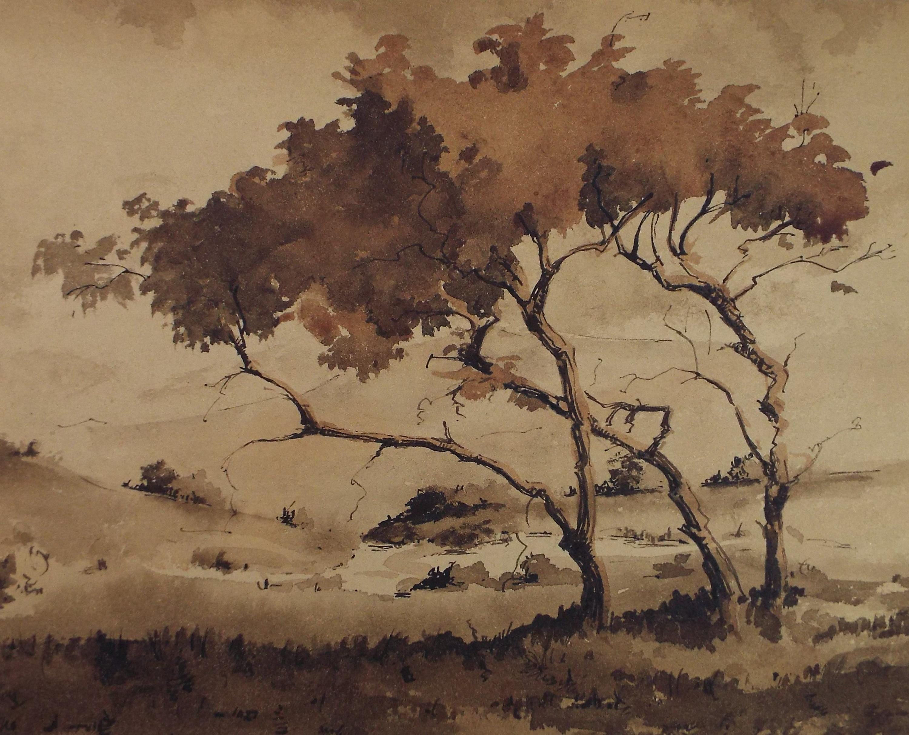 Original Sepia Watercolour, 'Landscape Study', Artist Unknown, circa 1950's