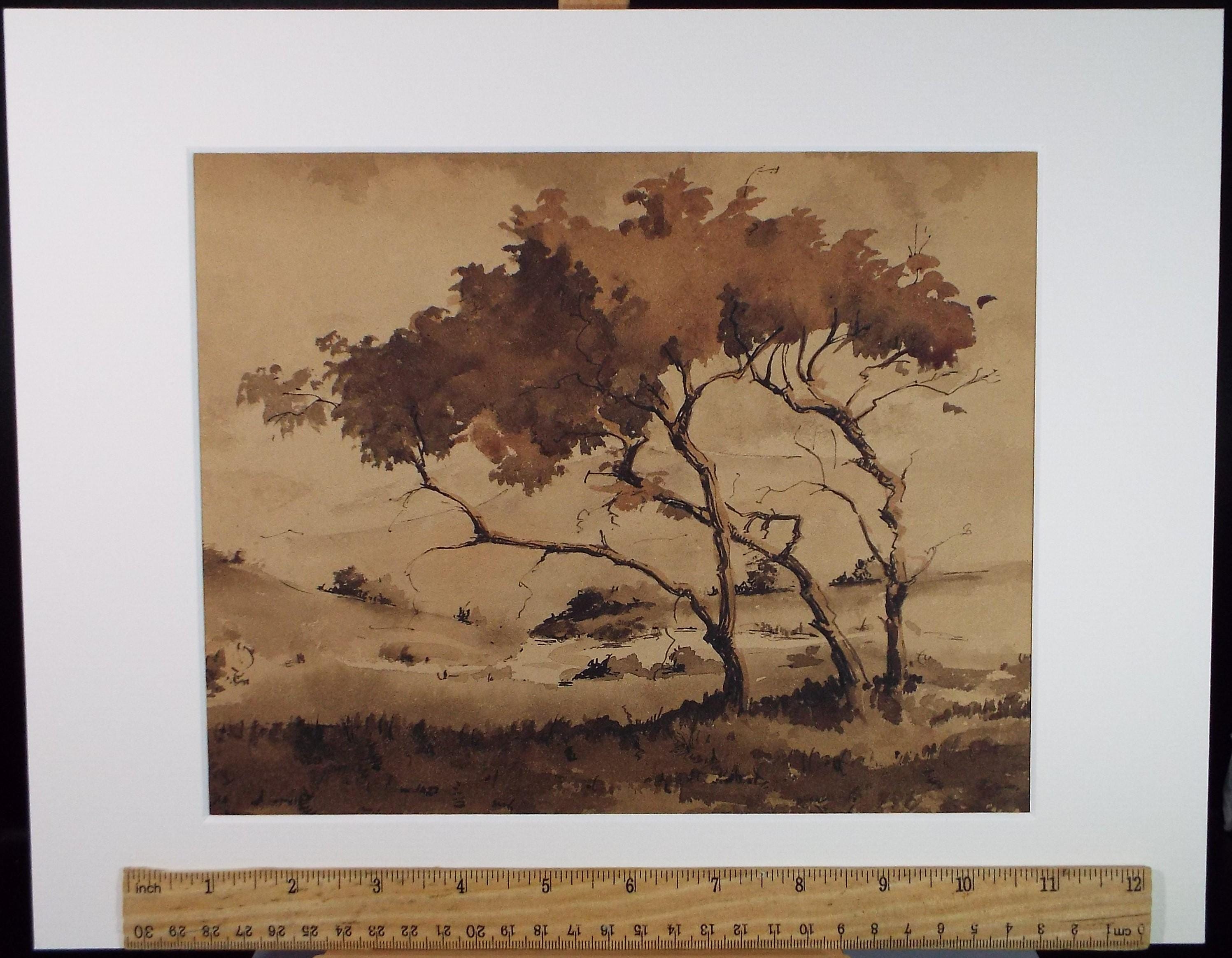 Original Sepia Watercolour, 'Landscape Study', Artist Unknown, circa 1950's