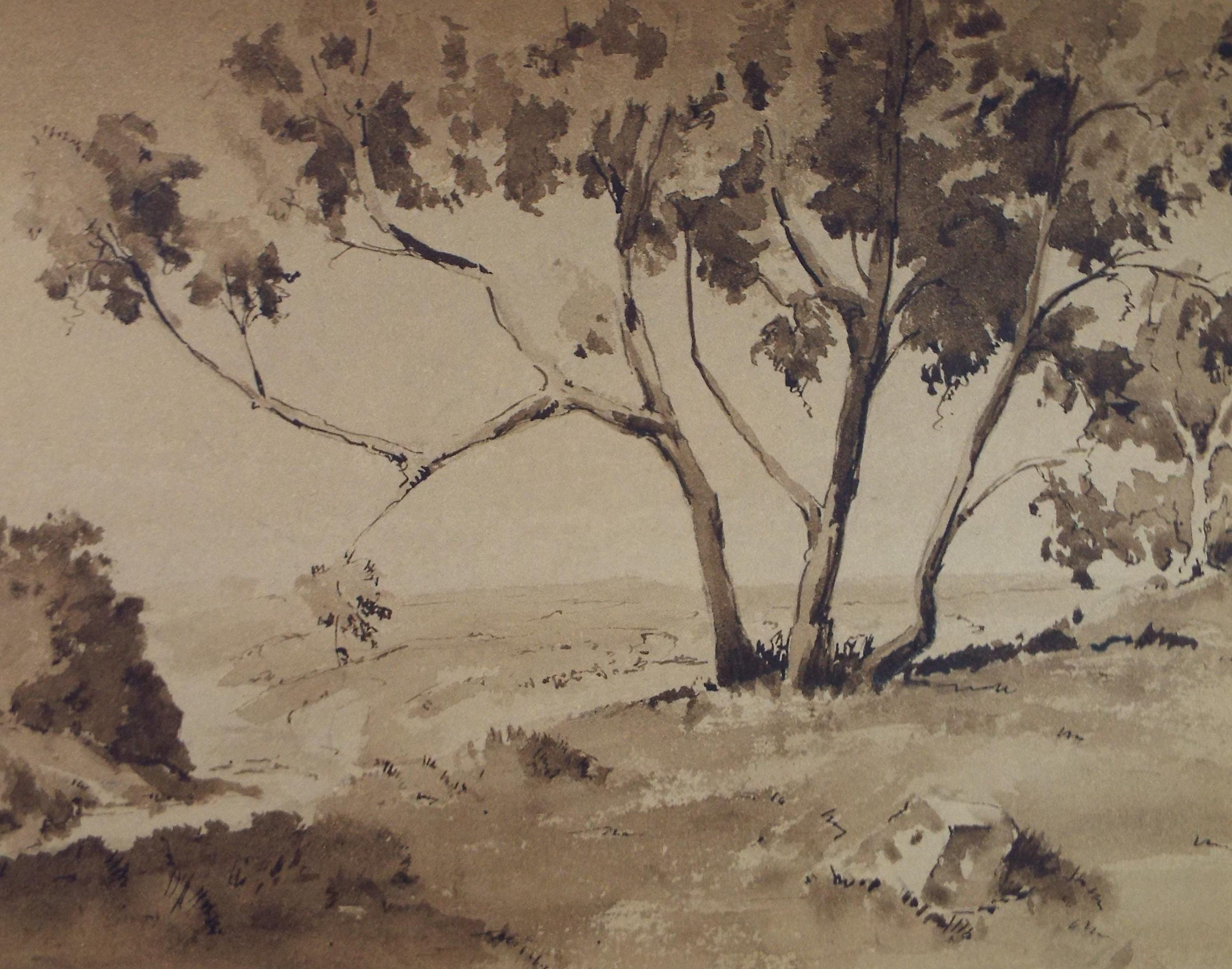 Original Sepia Watercolour, 'Landscape Study', Artist Unknown, circa 1950's