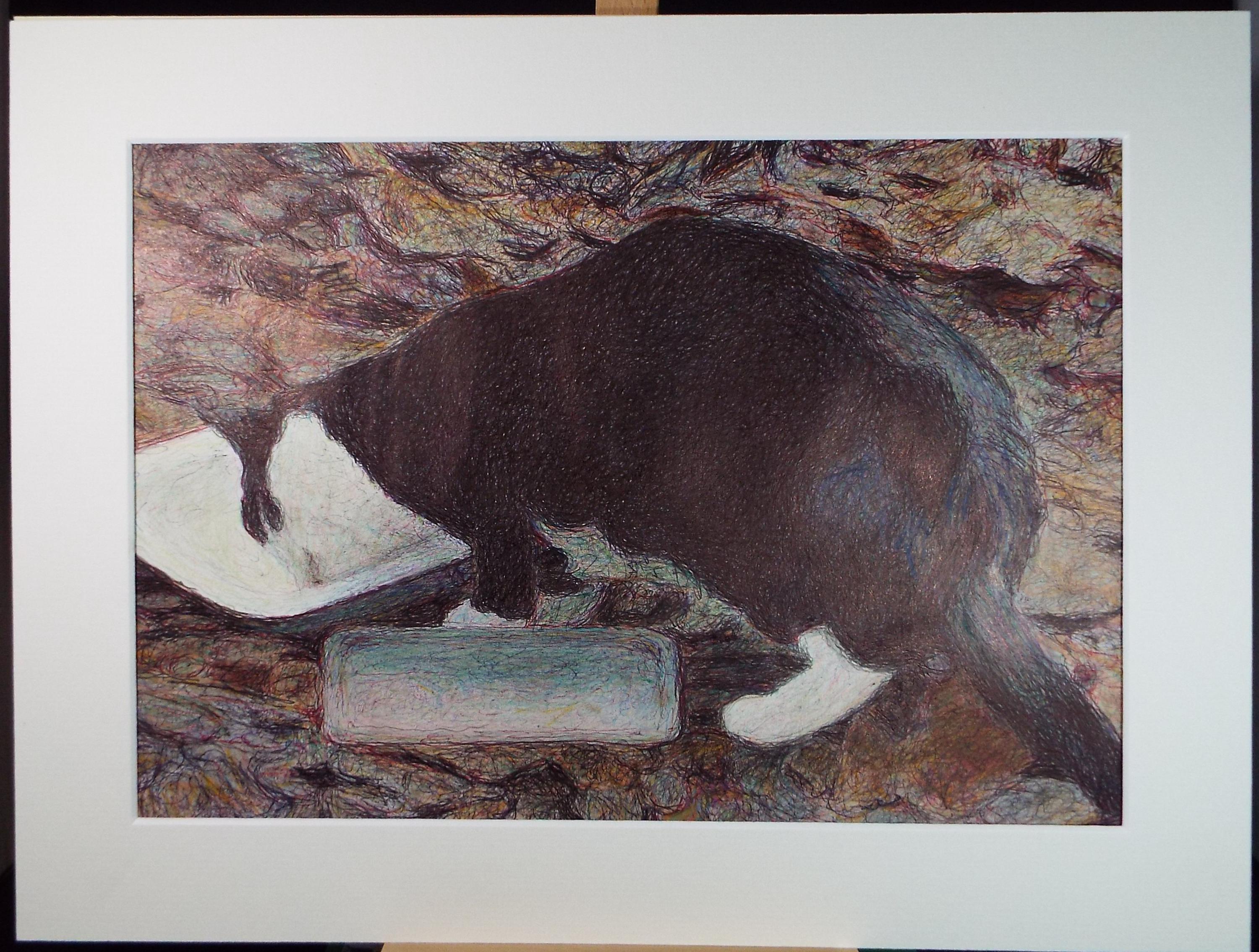 Original Watercolour & Ballpoint pen, 'Cat Study', Unknown Artist, Circa 1980's