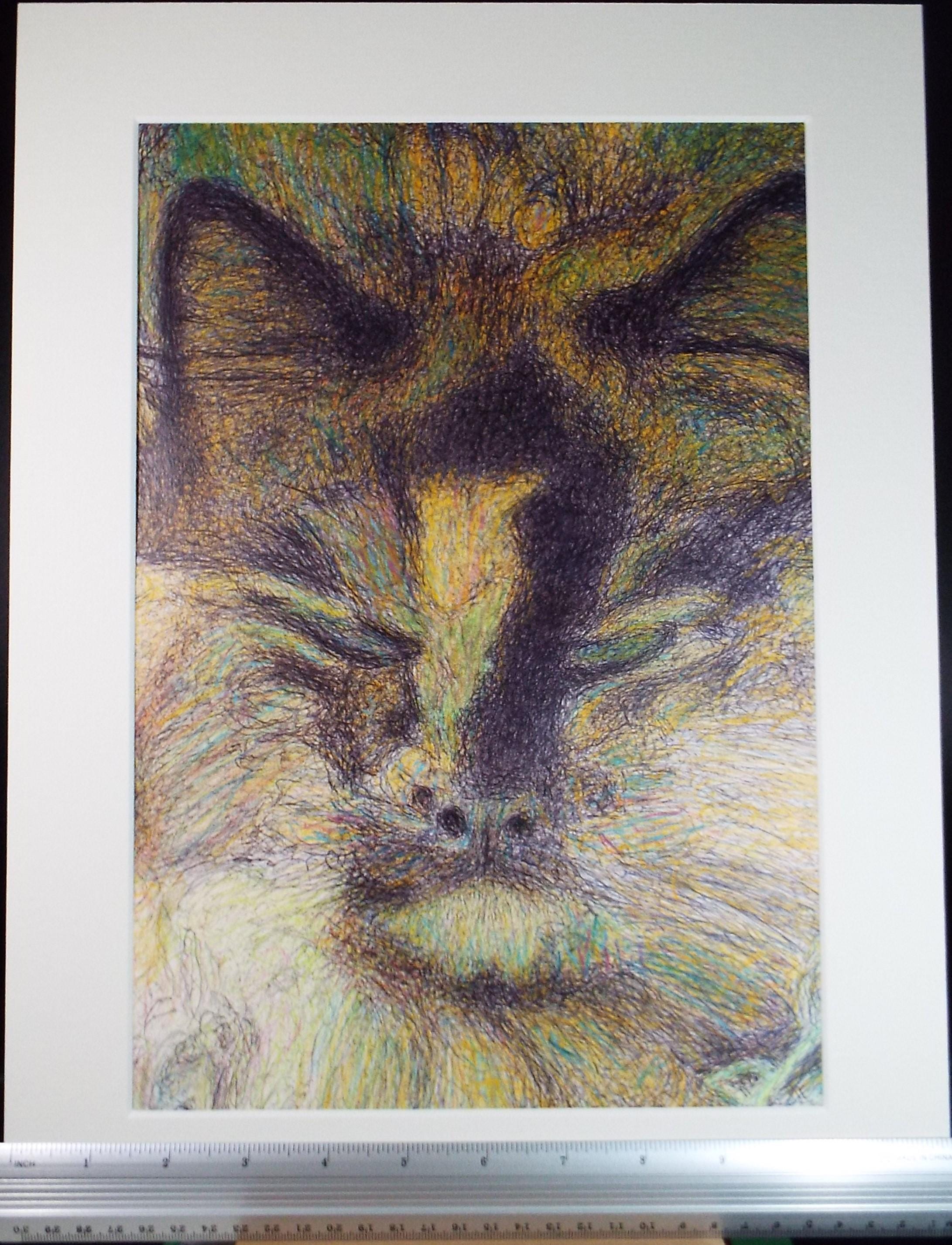 Original Coloured Pencil & Ballpoint pen, 'Cat Study', Unknown Artist, Circa 1980's