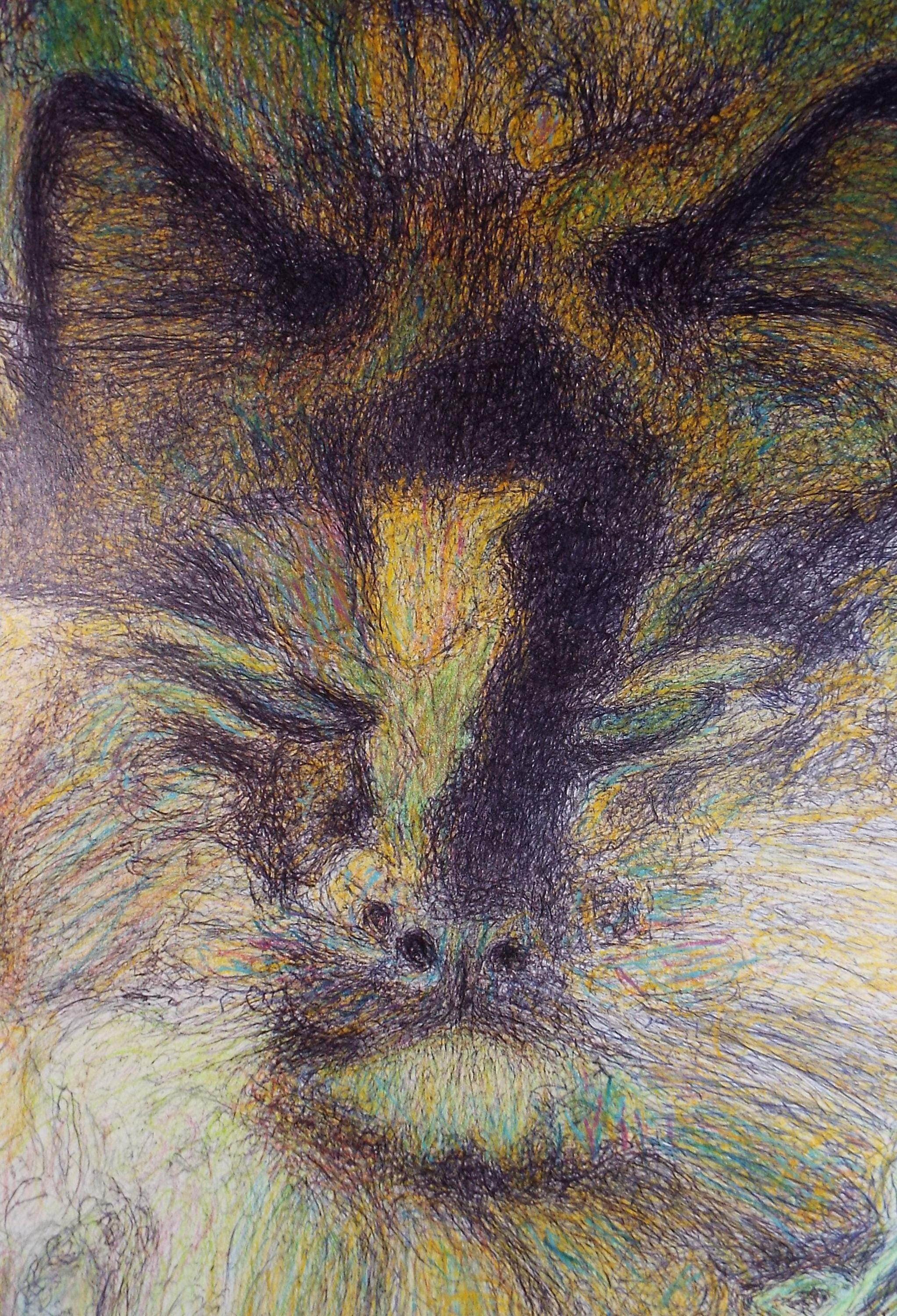 Original Coloured Pencil & Ballpoint pen, 'Cat Study', Unknown Artist, Circa 1980's