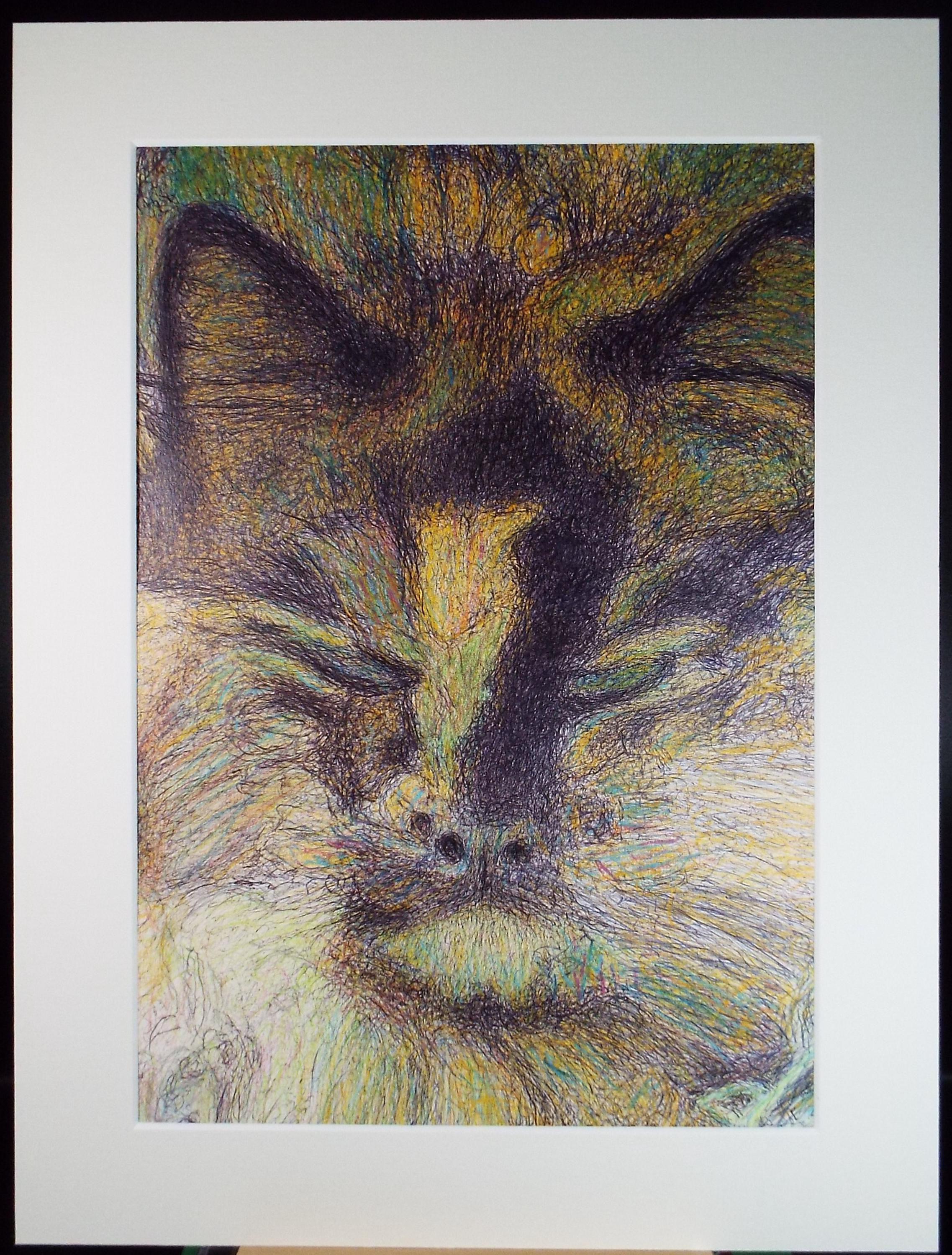 Original Coloured Pencil & Ballpoint pen, 'Cat Study', Unknown Artist, Circa 1980's