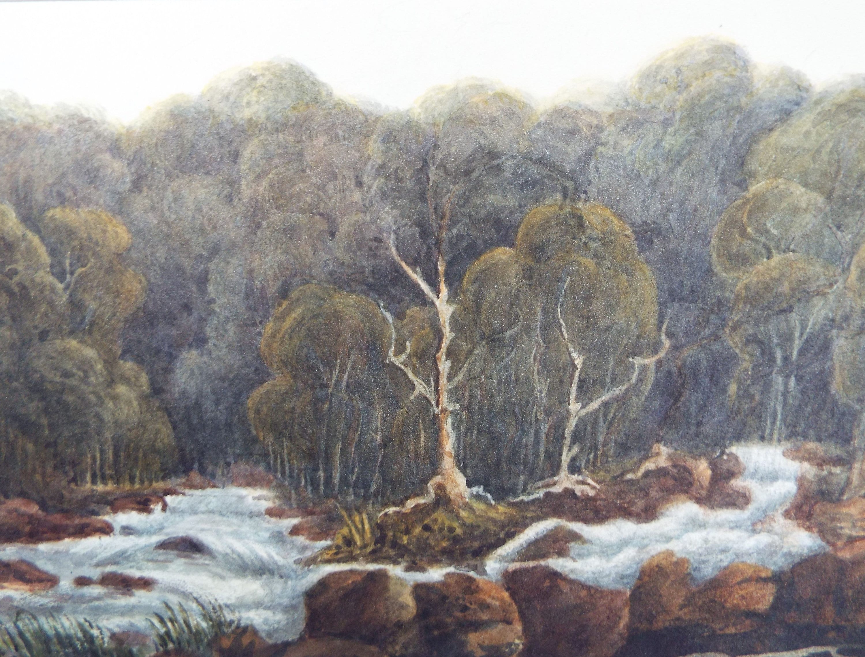 Original Watercolour c1820's,'Trees on a Rocky Riverbank' -  'Unknown Artist - River Rapids - Whitewater, Woodland