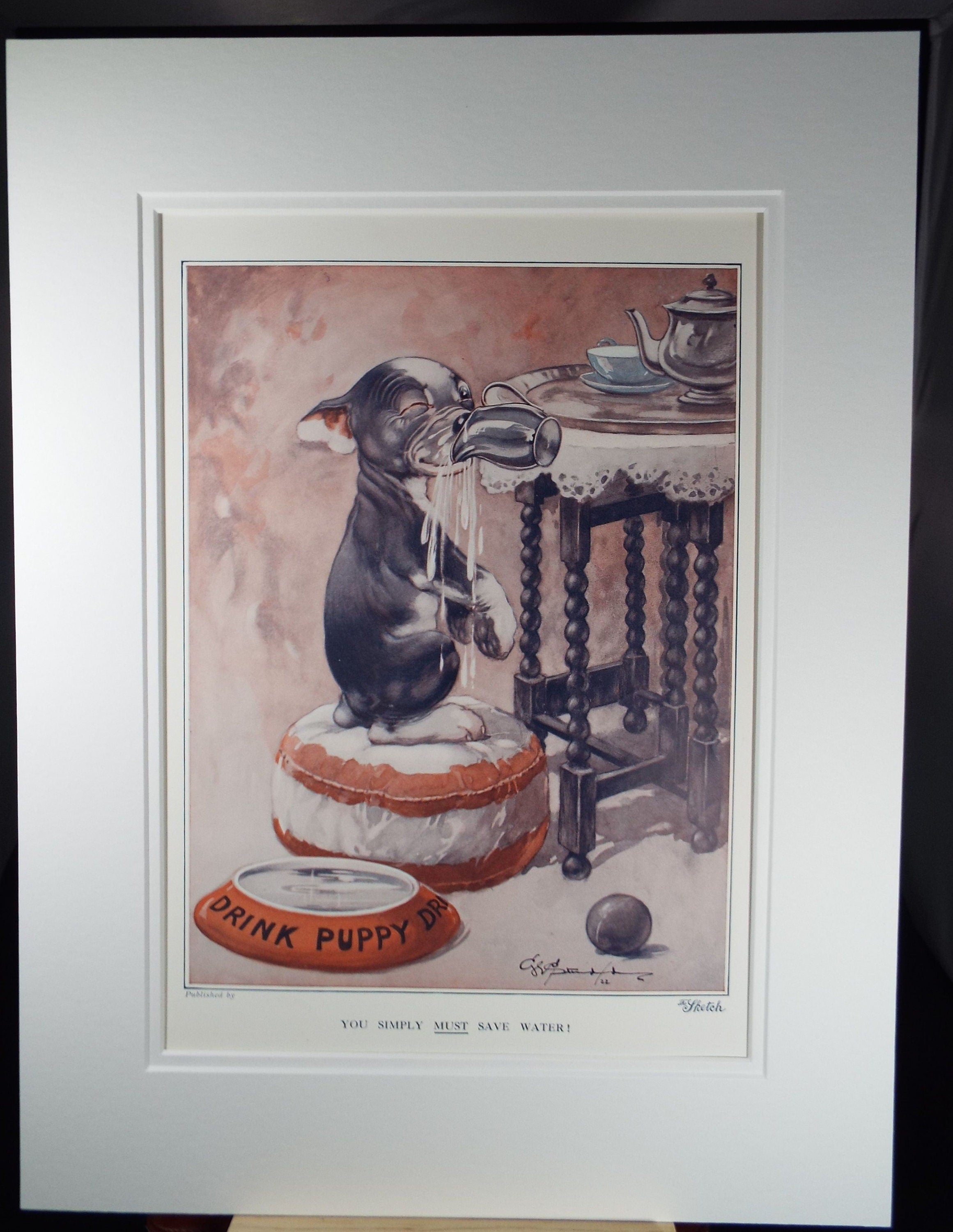 Bonzo the Dog - G. E Studdy, 'You simply must save water', Vintage 1920's Print, Large in size, Published by 'The Sketch' magazine