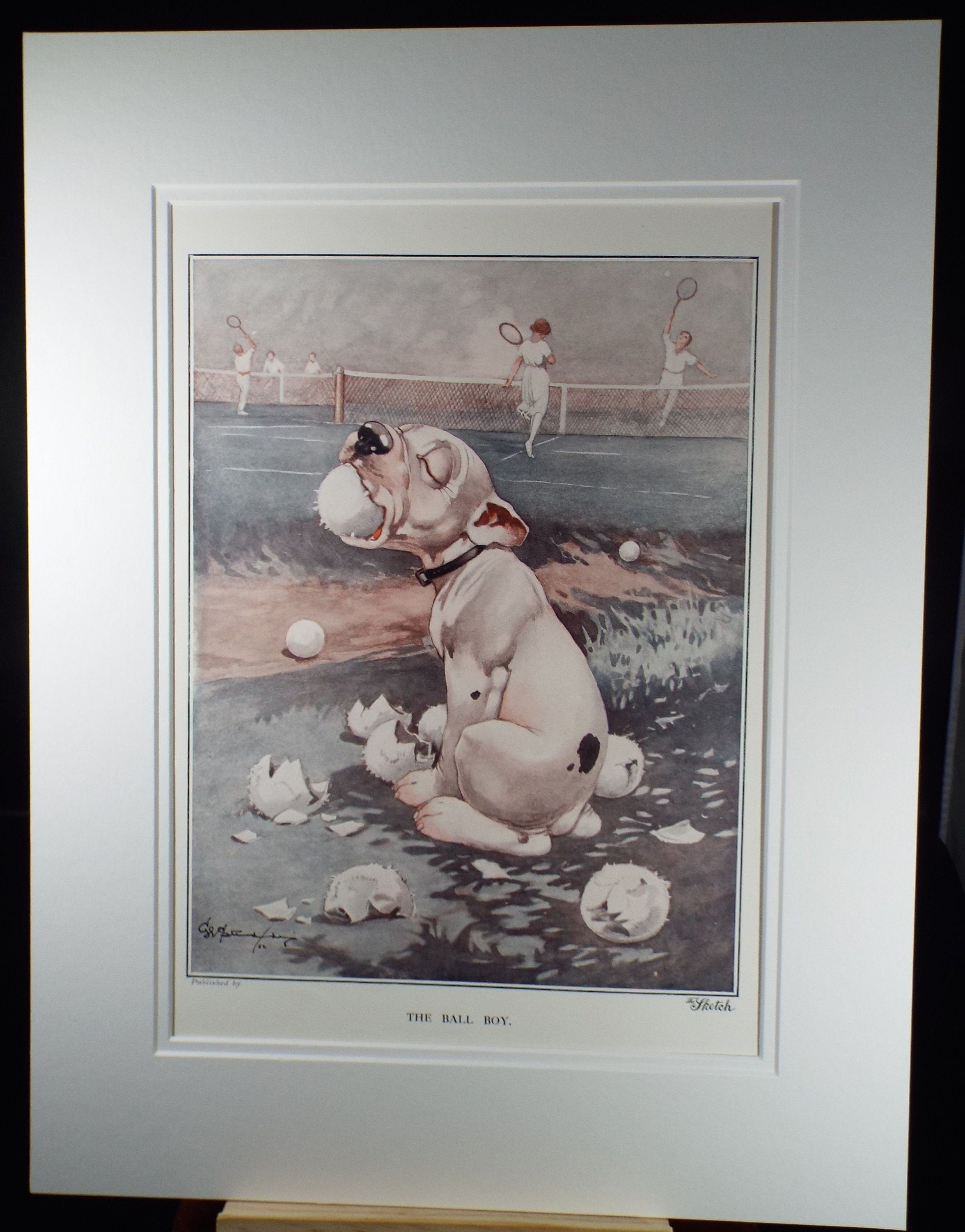 Bonzo the Dog - G. E Studdy,  'The Ball Boy', Vintage 1920's Print, Large in size, Published by 'The Sketch' magazine