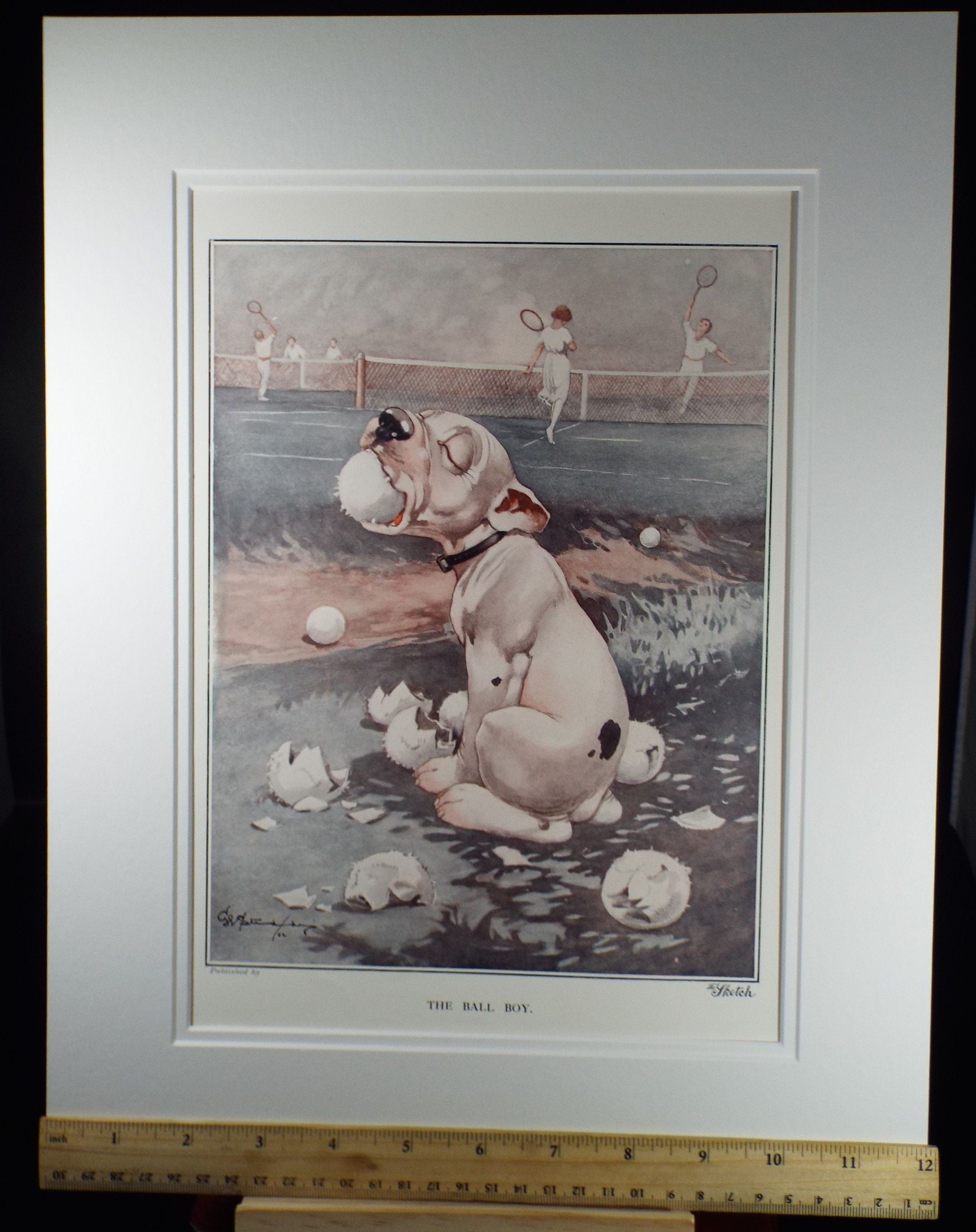 Bonzo the Dog - G. E Studdy,  'The Ball Boy', Vintage 1920's Print, Large in size, Published by 'The Sketch' magazine