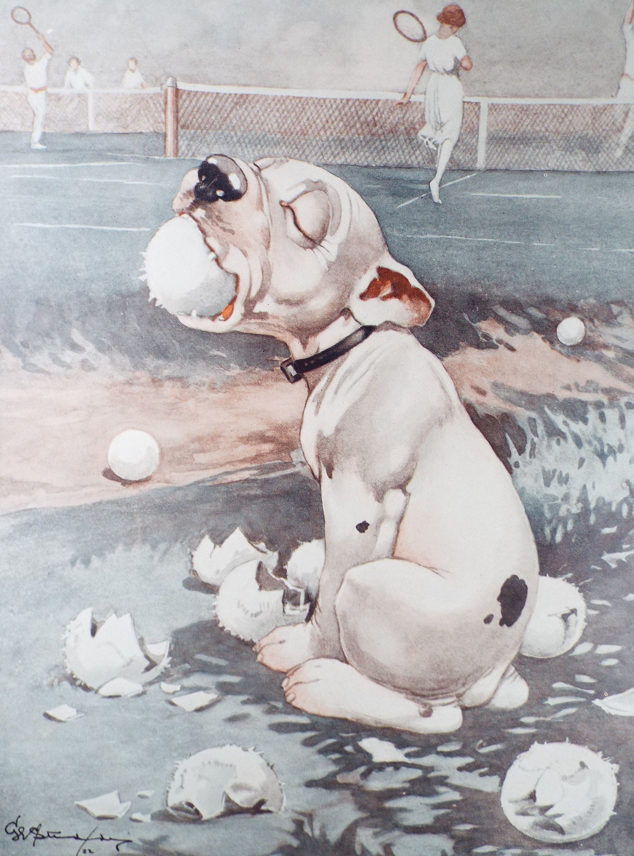 Bonzo the Dog - G. E Studdy,  'The Ball Boy', Vintage 1920's Print, Large in size, Published by 'The Sketch' magazine